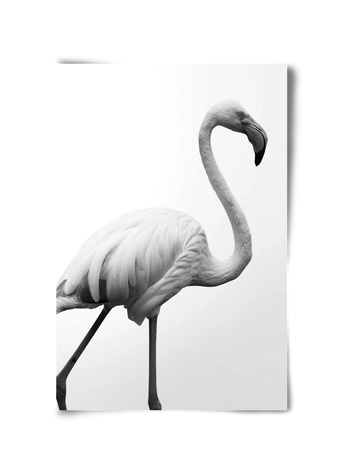 Dancer, 30x45 cm, Keret nélkül