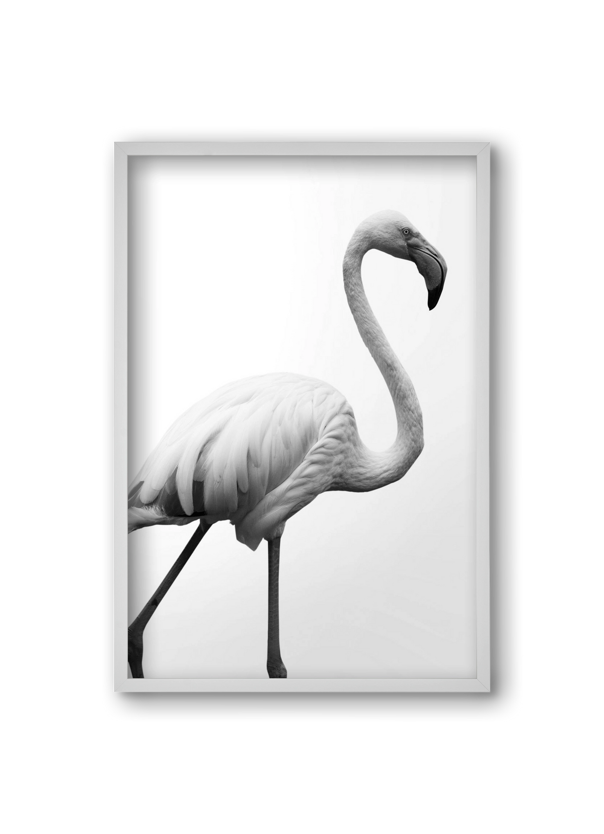 Dancer, 20x30 cm (20x30 cm), Fehér keret