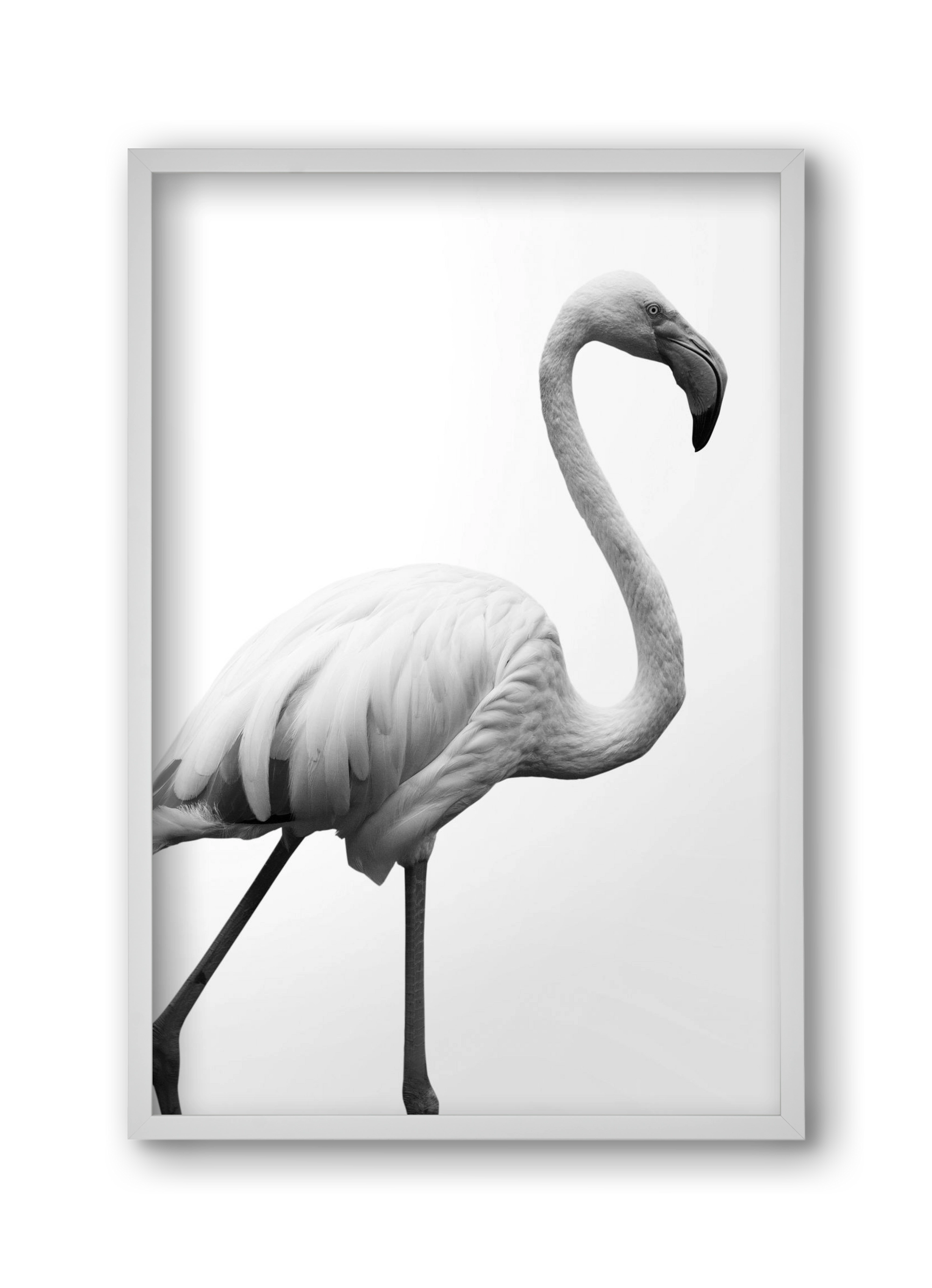 Dancer, 30x45 cm (30x45 cm), Fehér keret