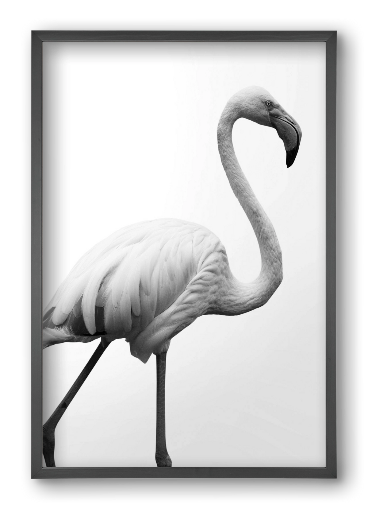 Dancer, 40x60 cm (40x60 cm), Fekete keret