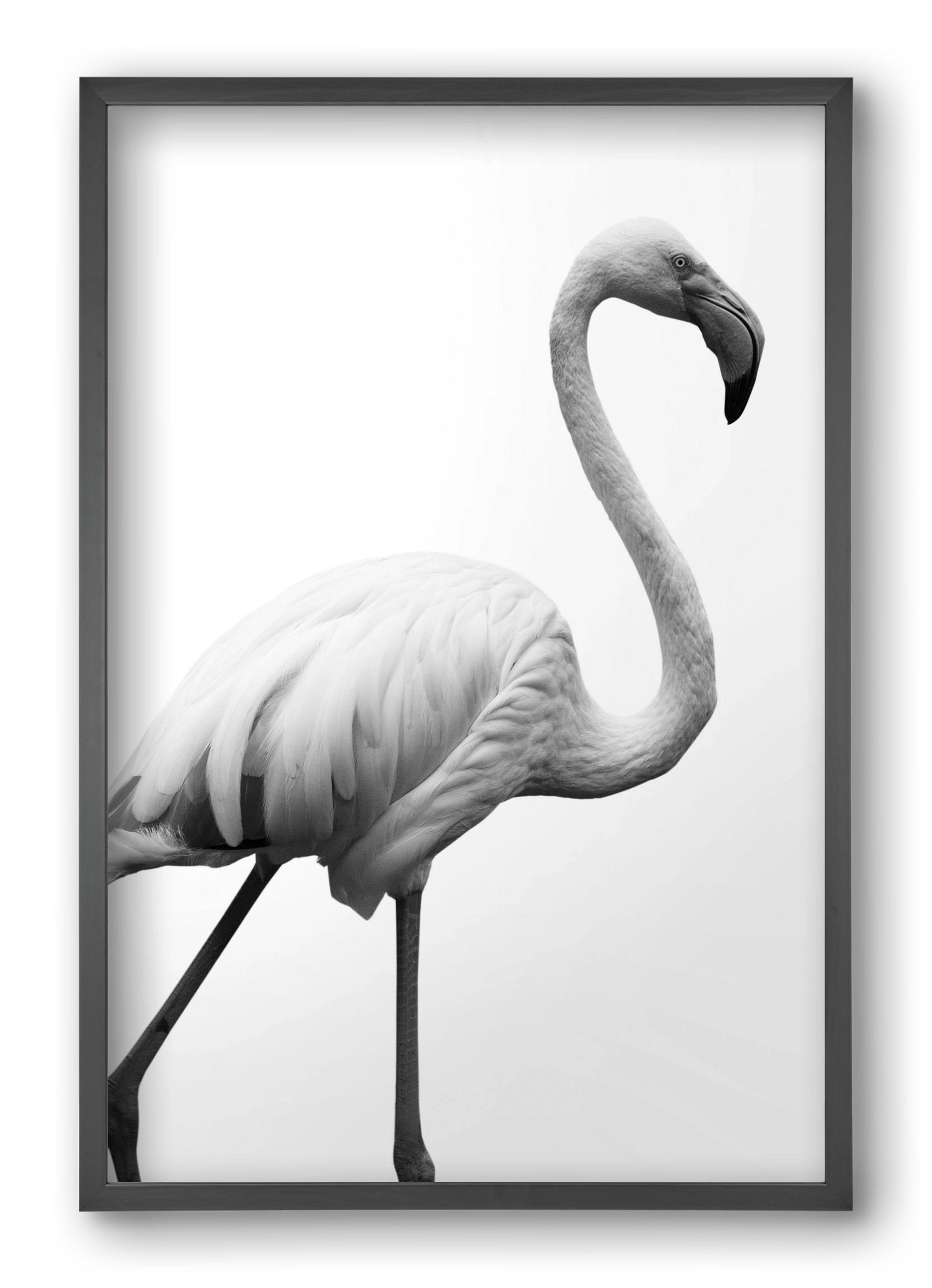 Dancer, 40x60 cm (40x60 cm), Fekete keret