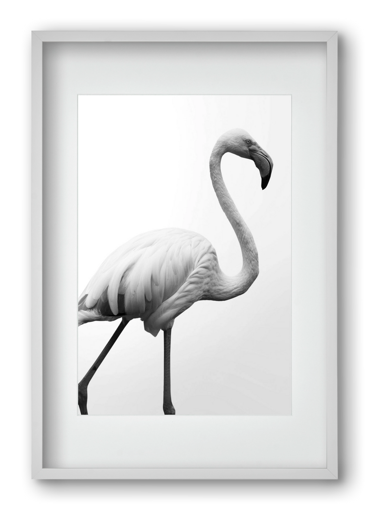 Dancer, 40x60 cm (30x45 cm), Fehér keret, paszpartuval