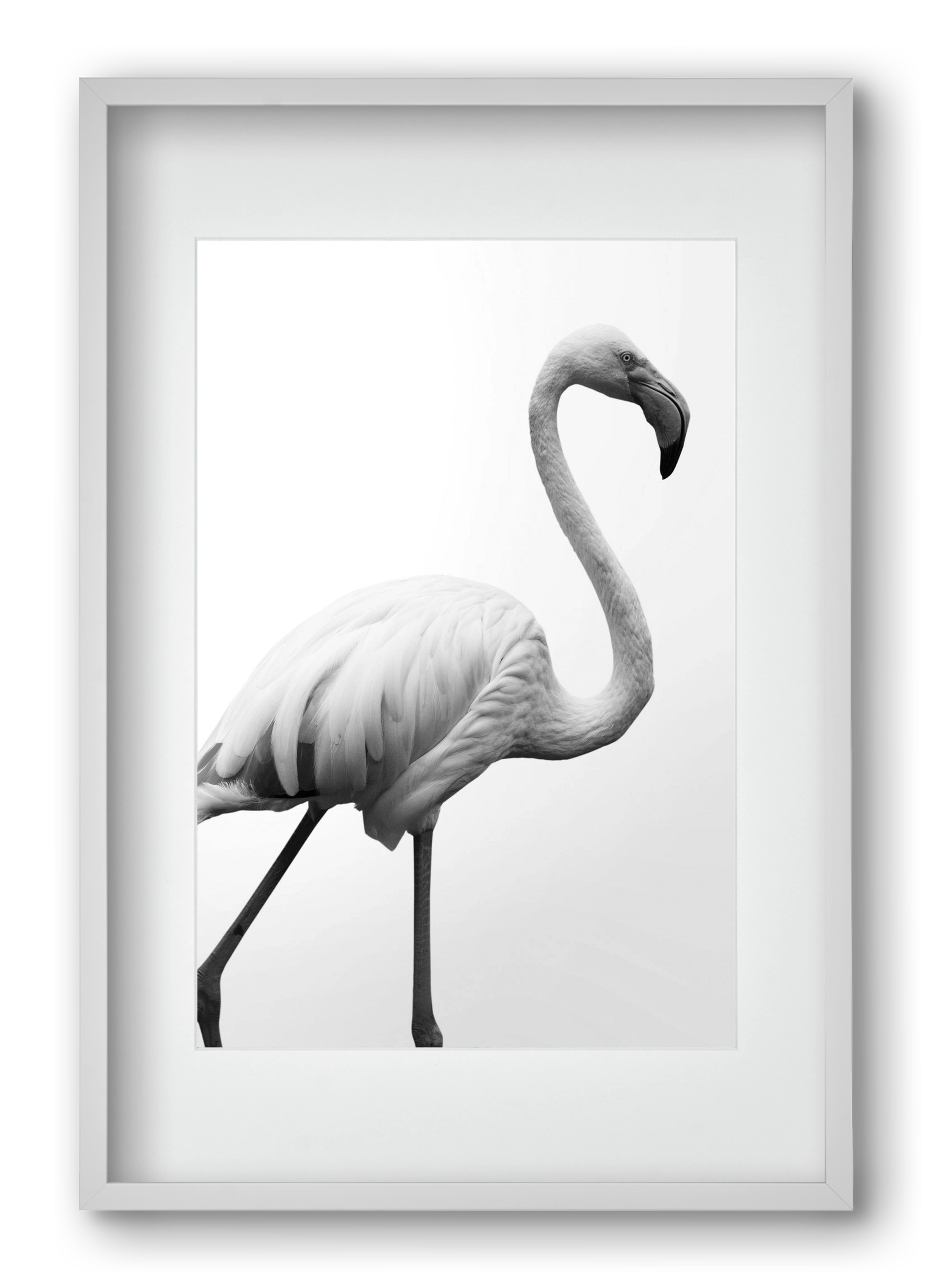 Dancer, 40x60 cm (30x45 cm), Fehér keret, paszpartuval