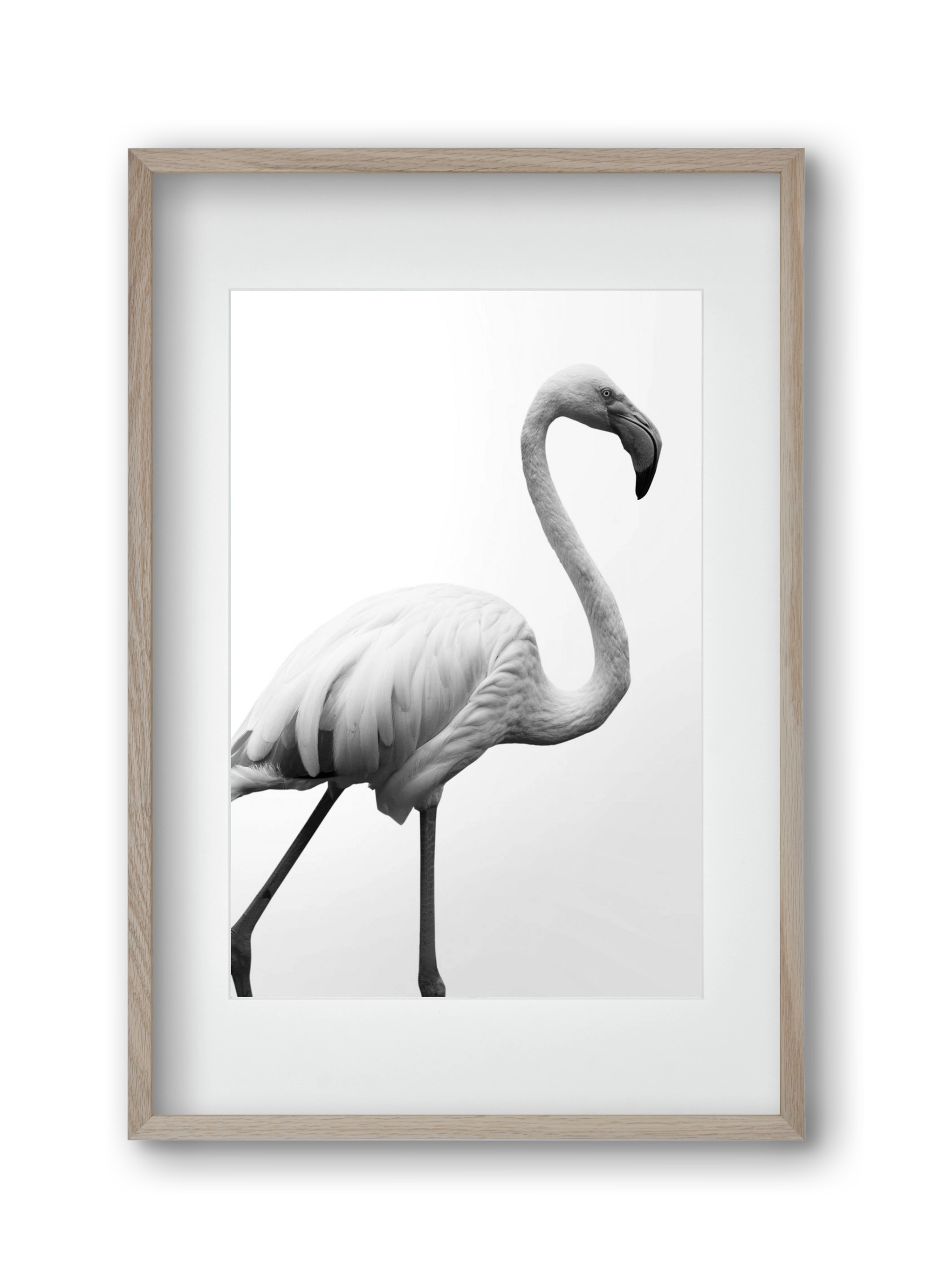 Dancer, 30x45 cm (20x30 cm), Tölgy keret, paszpartuval