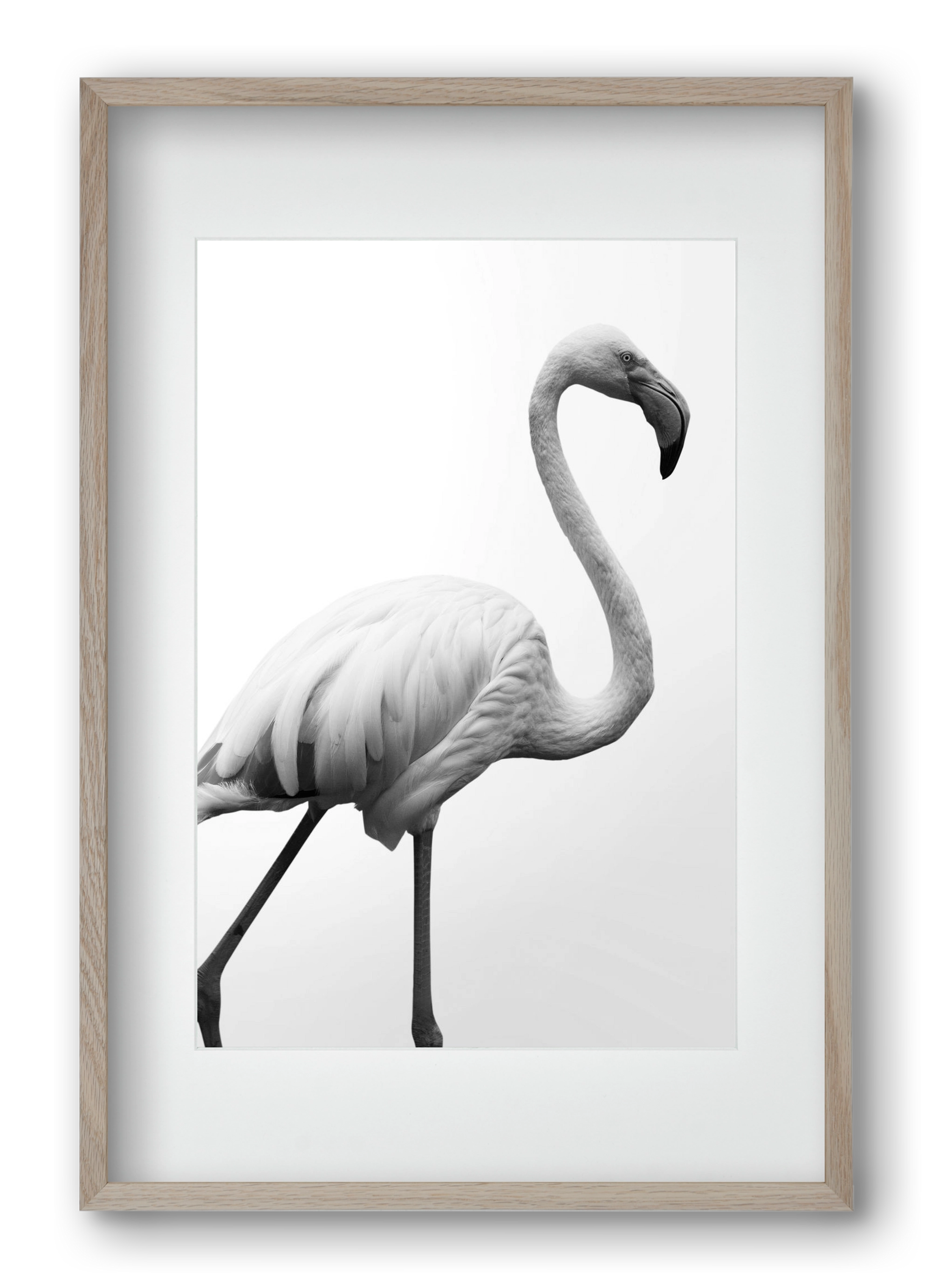 Dancer, 40x60 cm (30x45 cm), Tölgy keret, paszpartuval