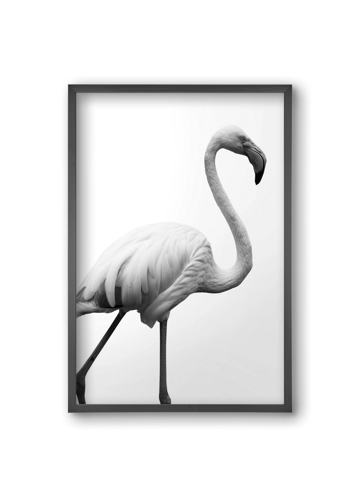 Dancer, 20x30 cm (20x30 cm), Fekete keret