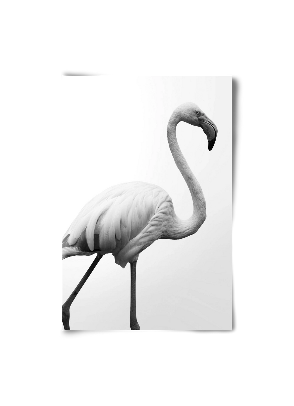 Dancer, 20x30 cm, Keret nélkül