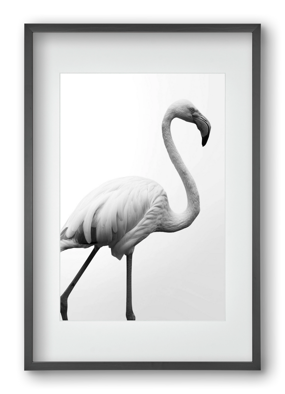 Dancer, 40x60 cm (30x45 cm), Fekete keret, paszpartuval