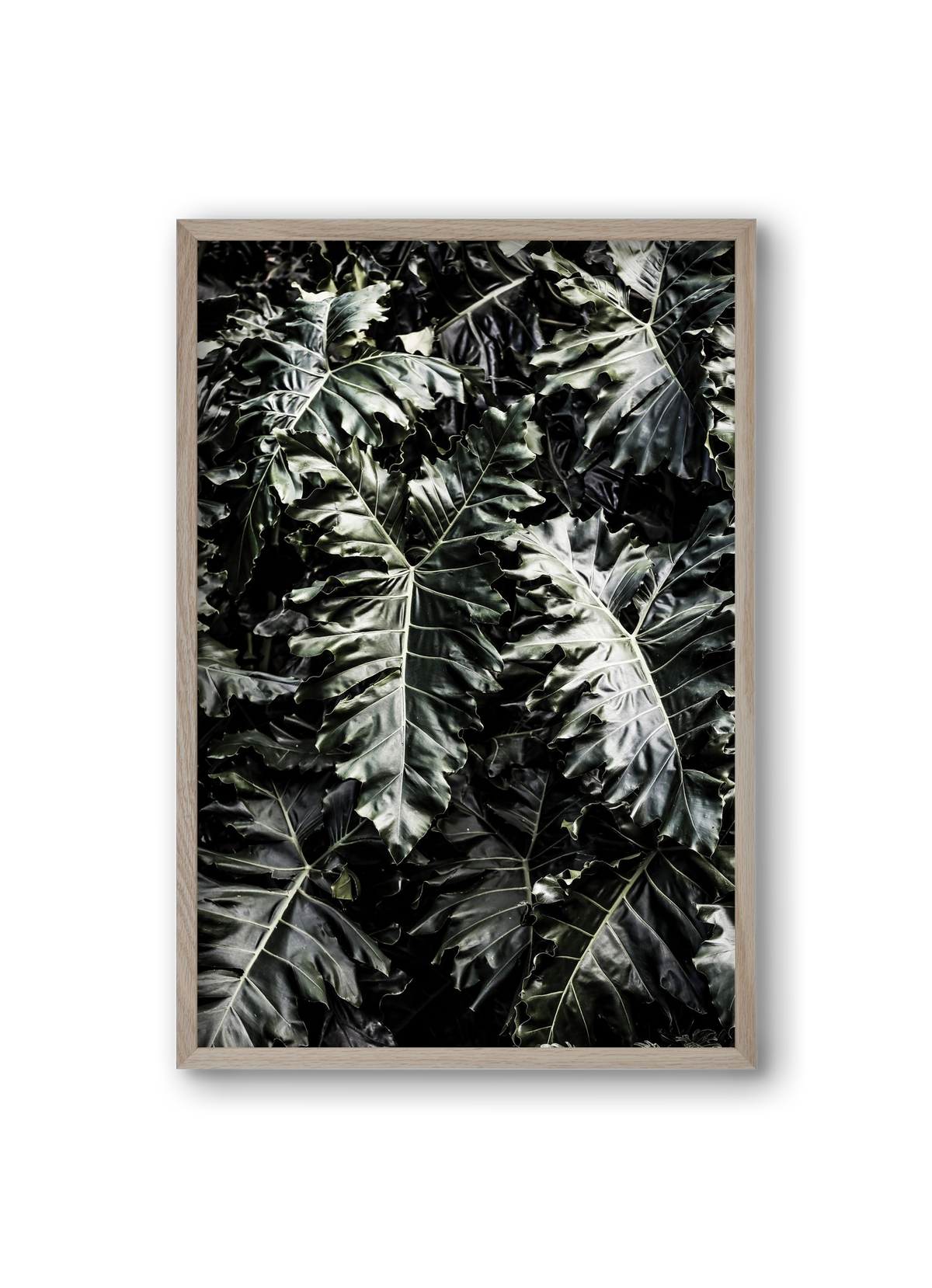 Monster, 20x30 cm (20x30 cm), Tölgy keret