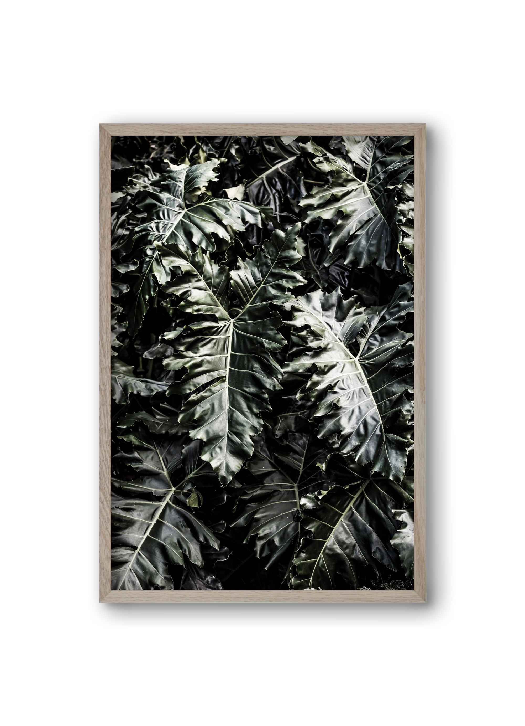 Monster, 20x30 cm (20x30 cm), Tölgy keret