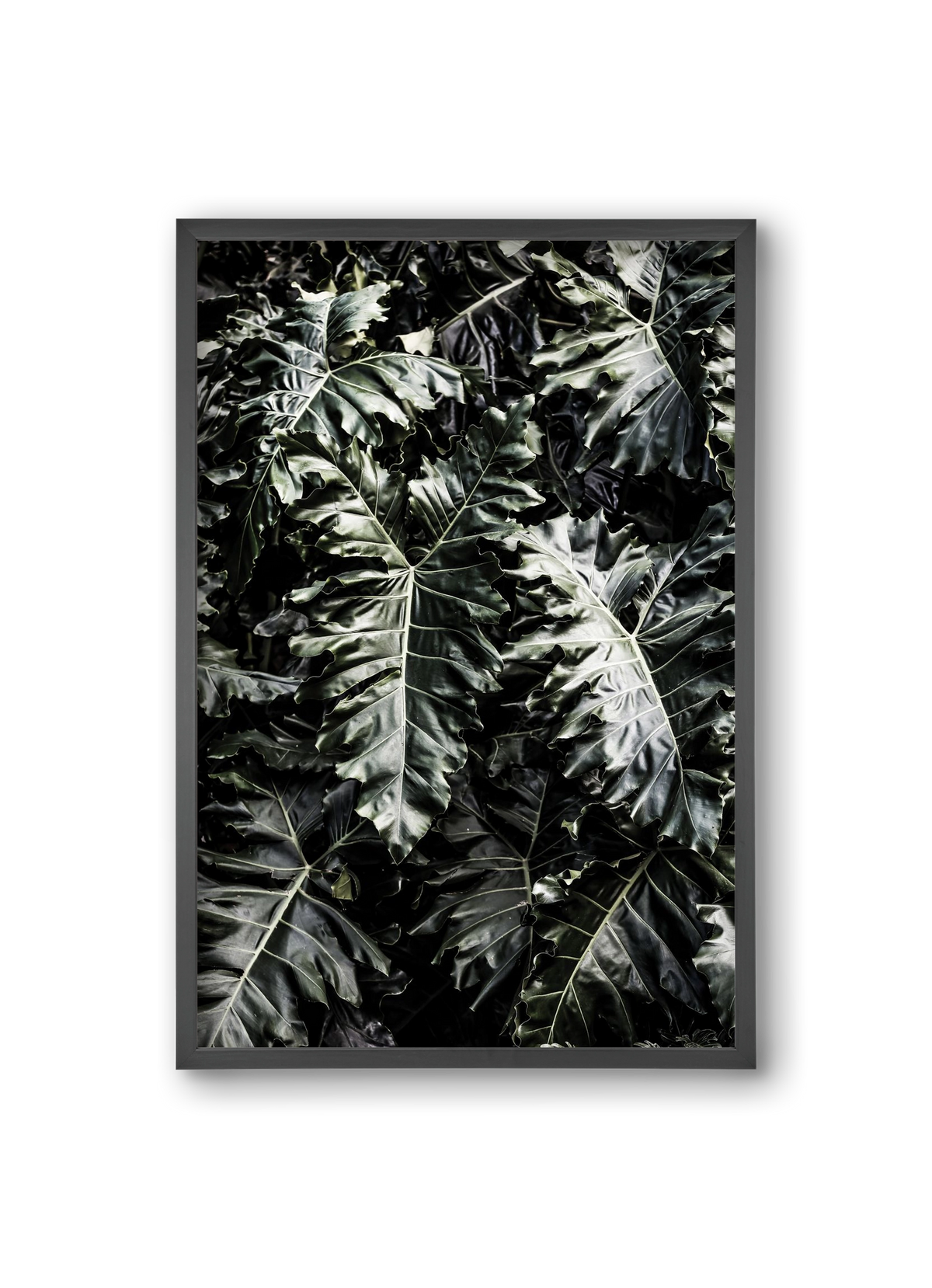 Monster, 20x30 cm (20x30 cm), Fekete keret