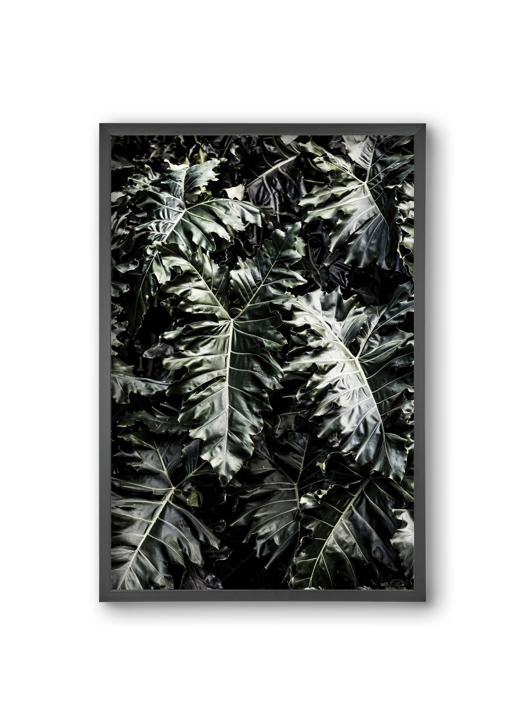 Monster, 20x30 cm (20x30 cm), Fekete keret