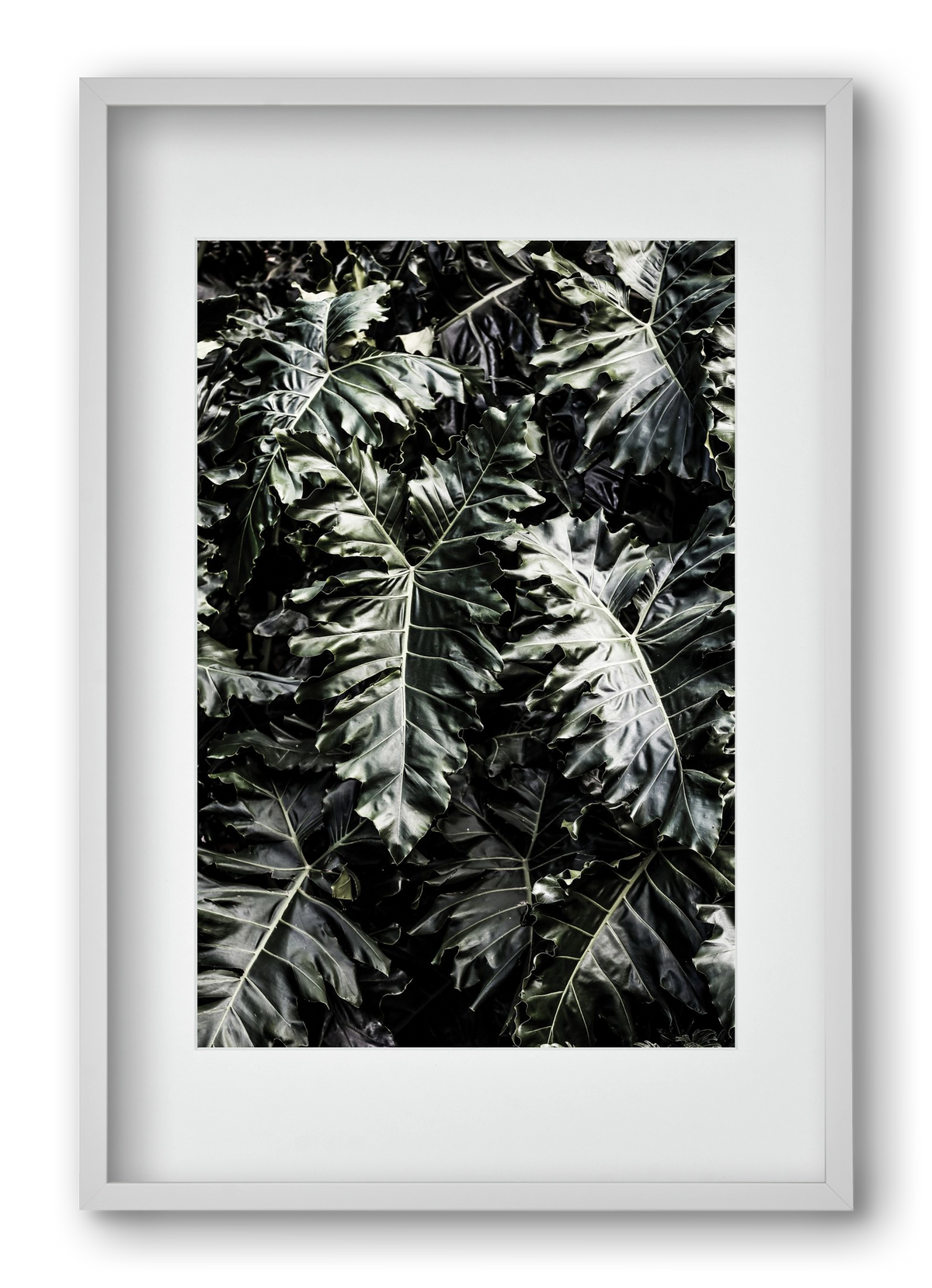 Monster, 40x60 cm (30x45 cm), Fehér keret, paszpartuval