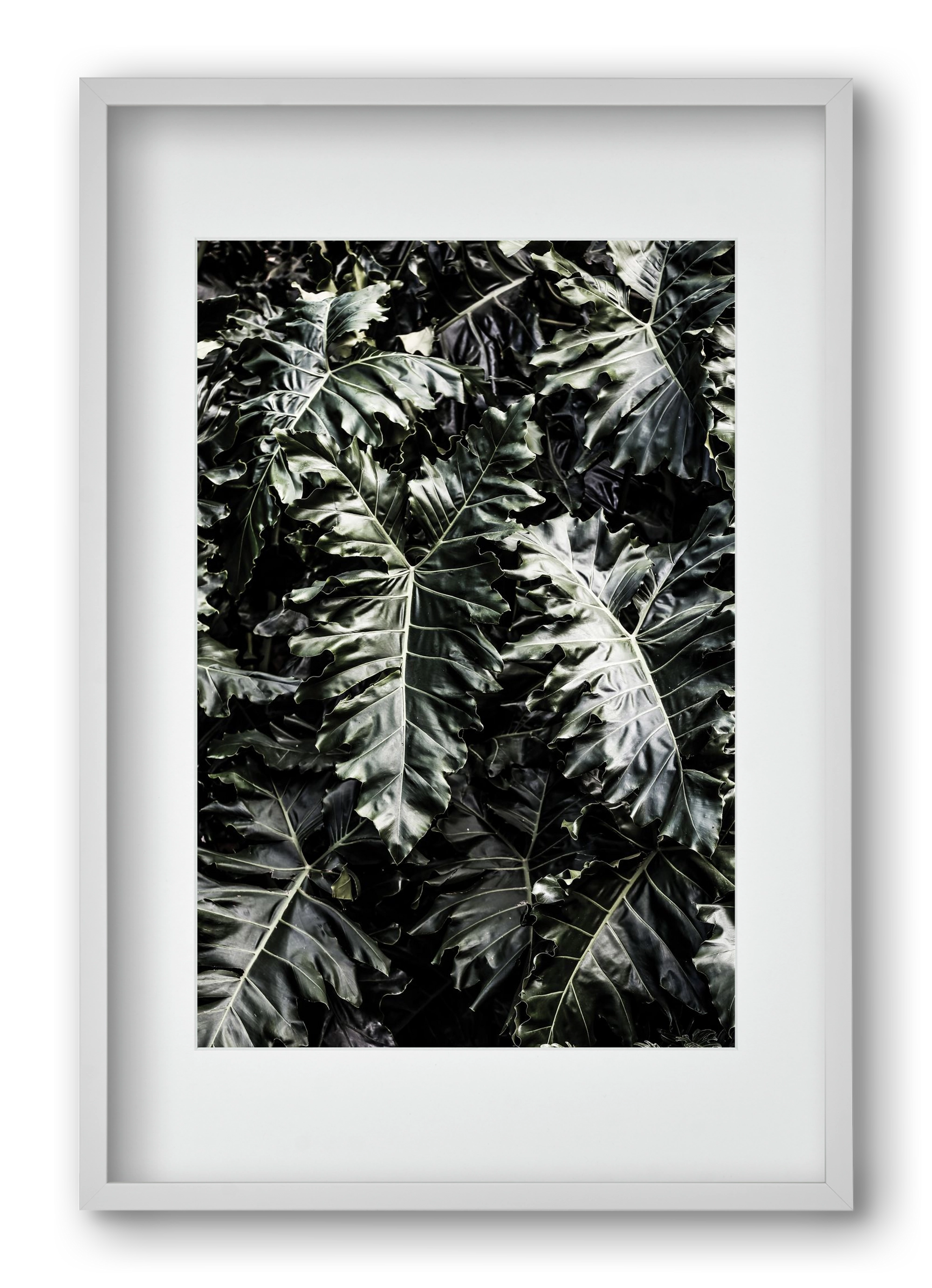 Monster, 40x60 cm (30x45 cm), Fehér keret, paszpartuval