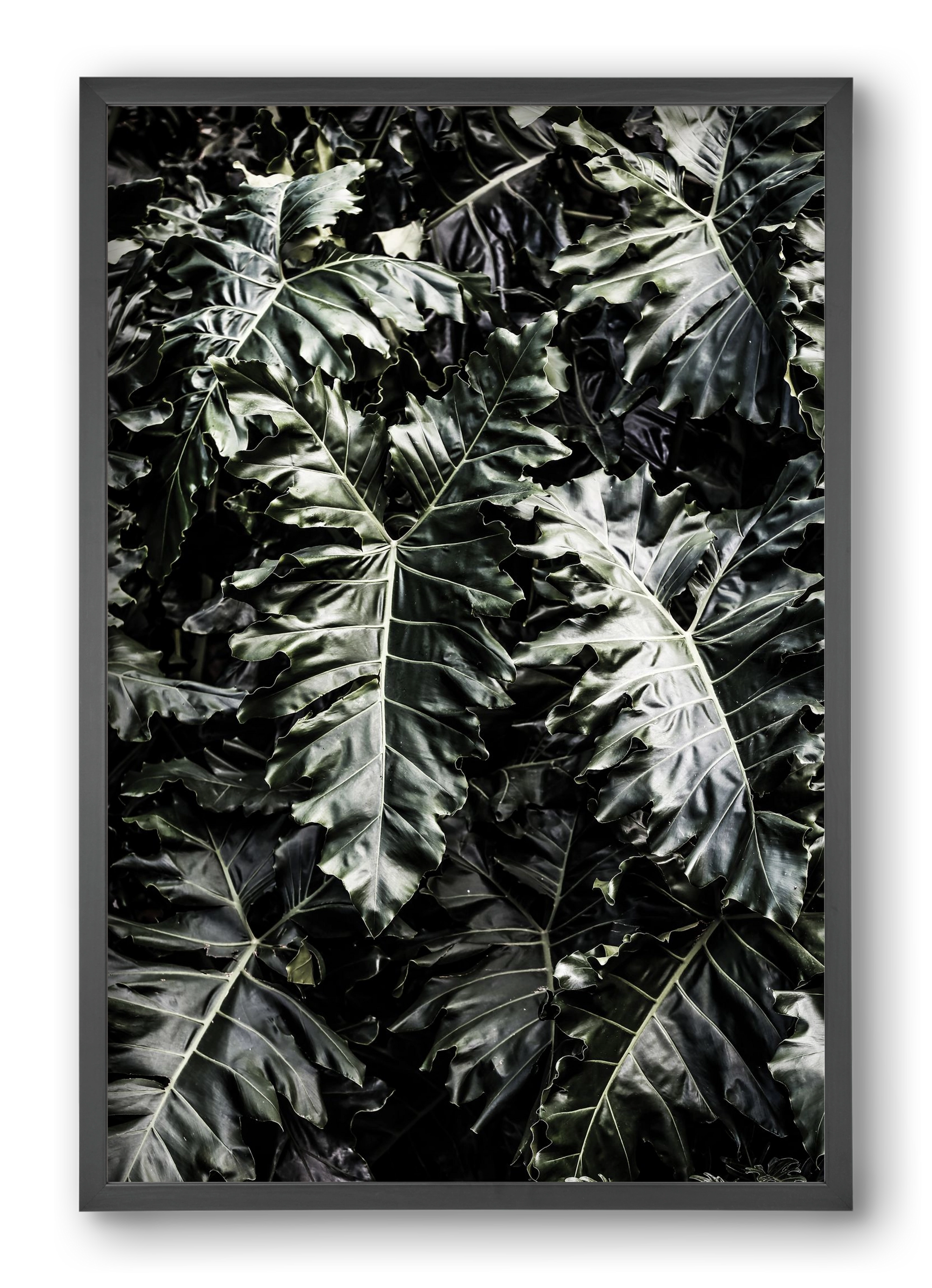 Monster, 40x60 cm (40x60 cm), Fekete keret