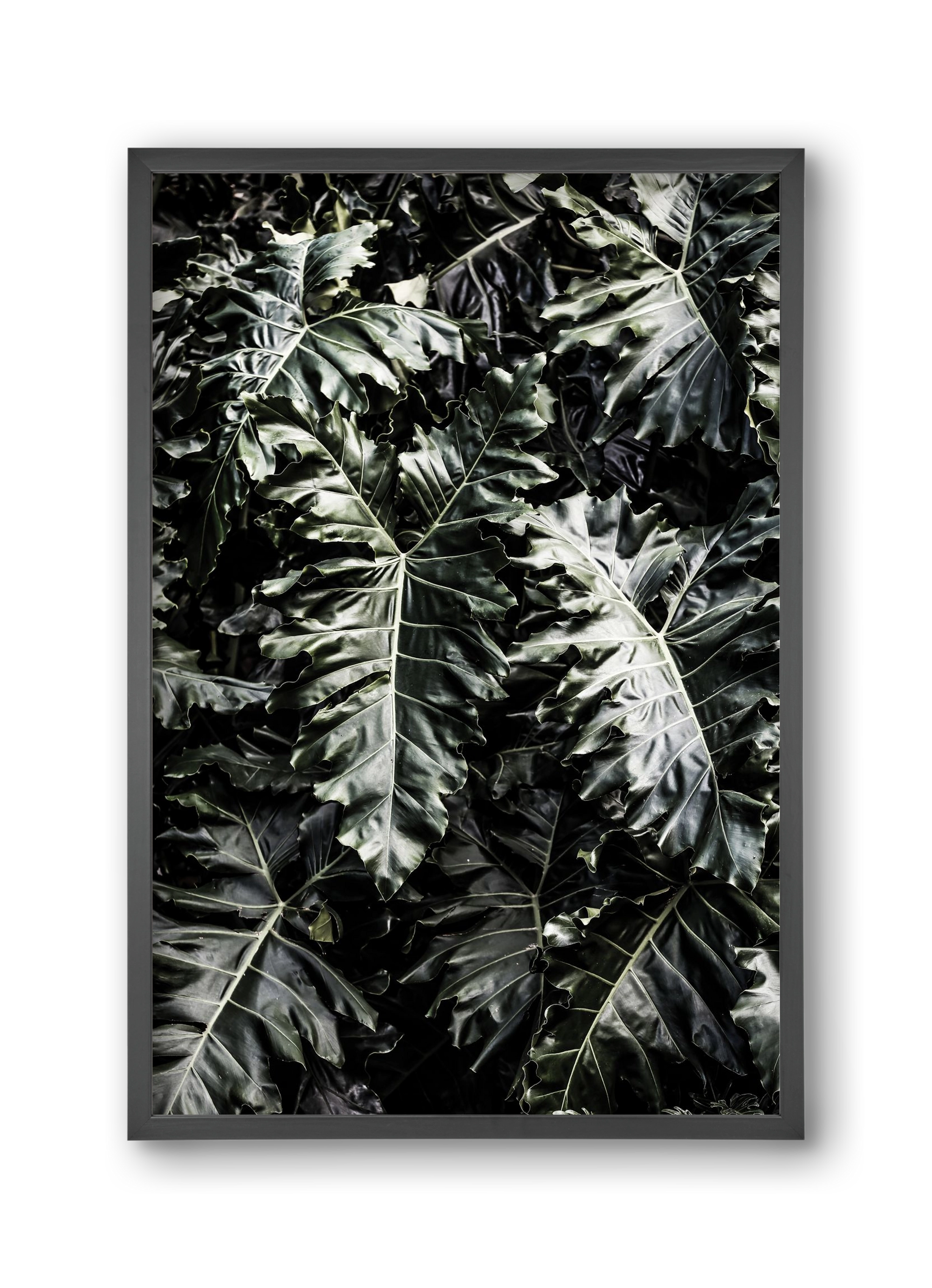 Monster, 30x45 cm (30x45 cm), Fekete keret