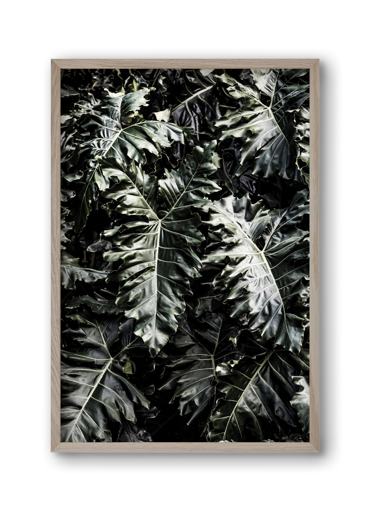 Monster, 30x45 cm (30x45 cm), Tölgy keret