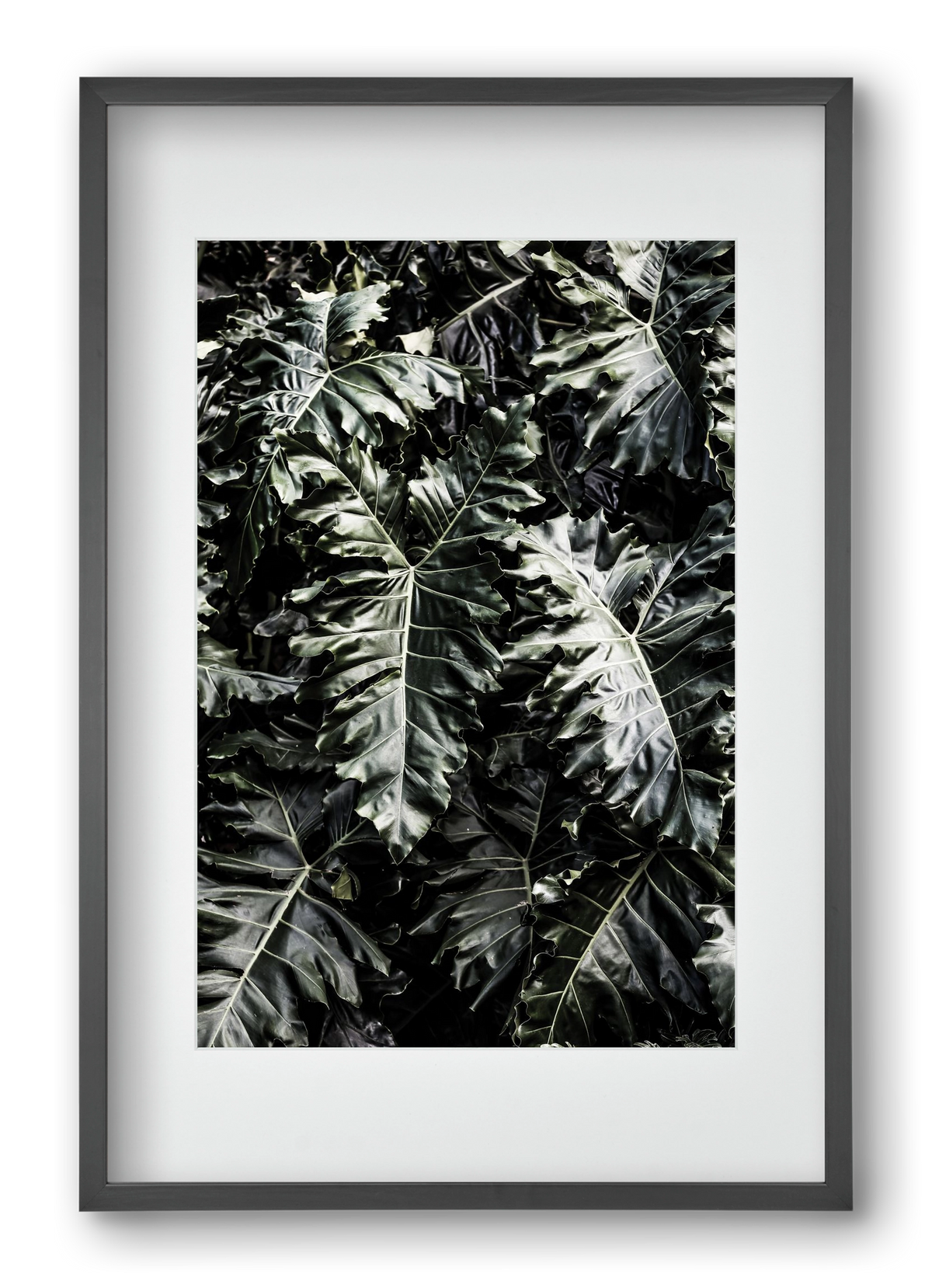 Monster, 40x60 cm (30x45 cm), Fekete keret, paszpartuval