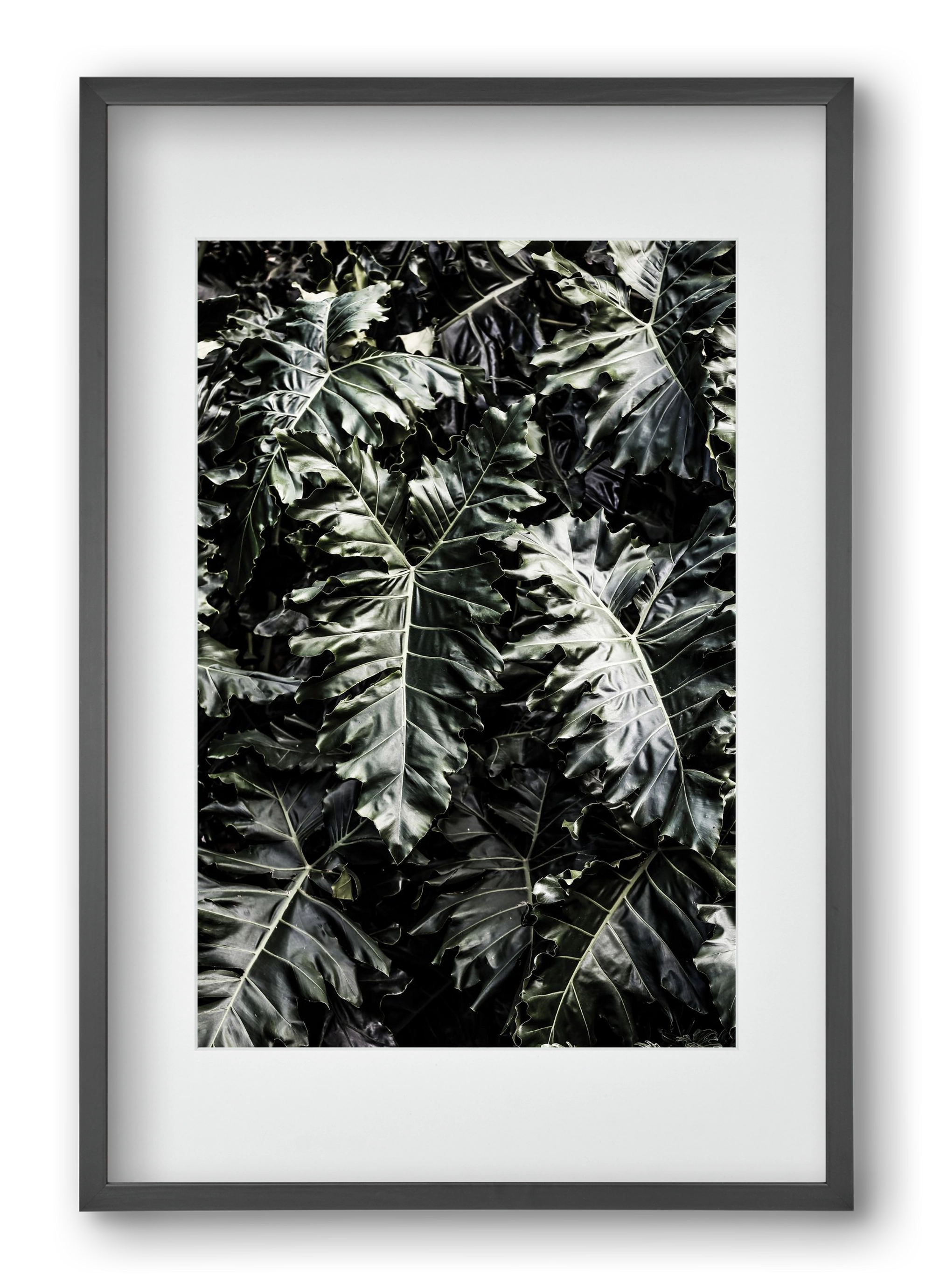 Monster, 40x60 cm (30x45 cm), Fekete keret, paszpartuval