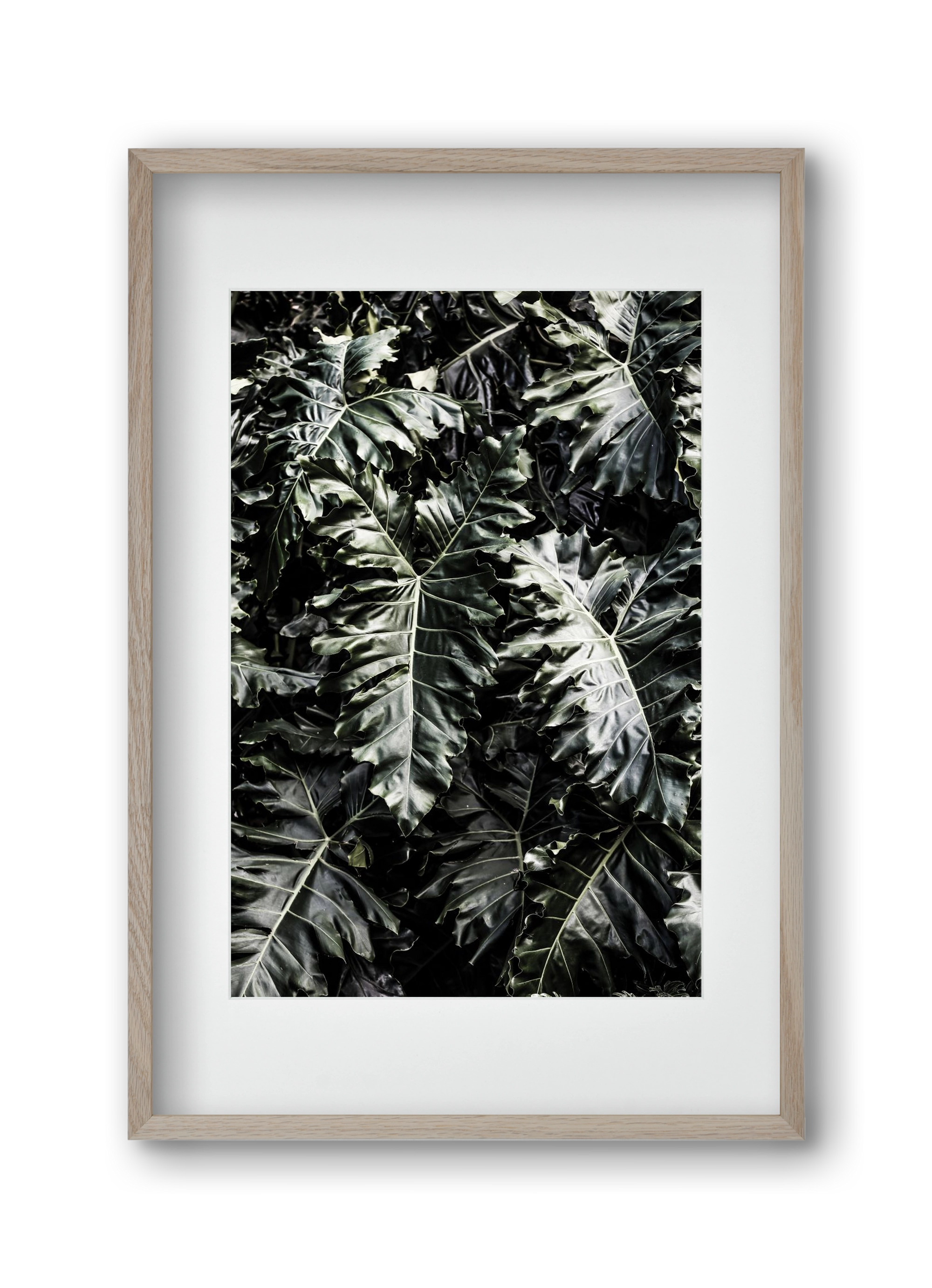 Monster, 30x45 cm (20x30 cm), Tölgy keret, paszpartuval