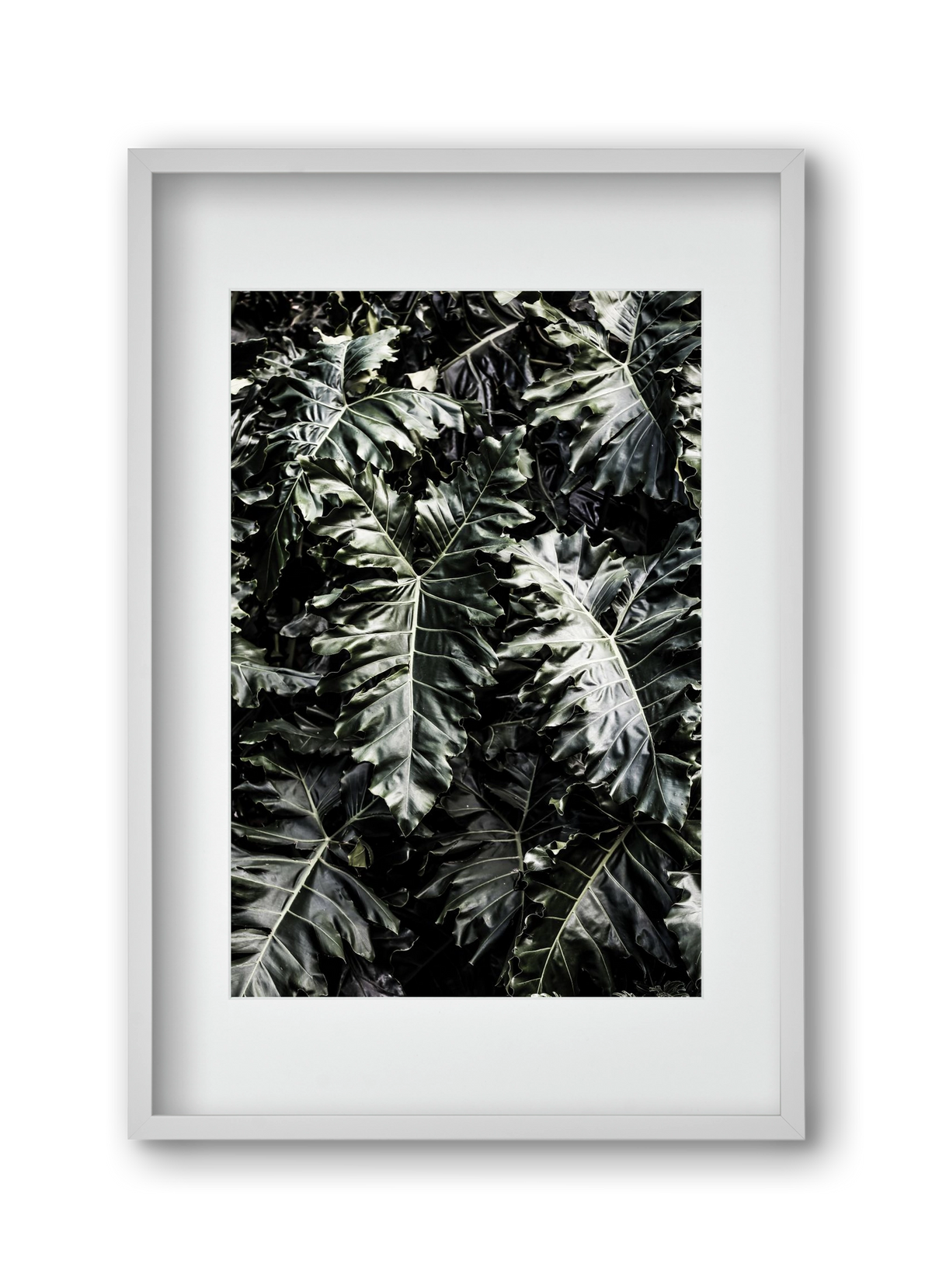 Monster, 30x45 cm (20x30 cm), Fehér keret, paszpartuval