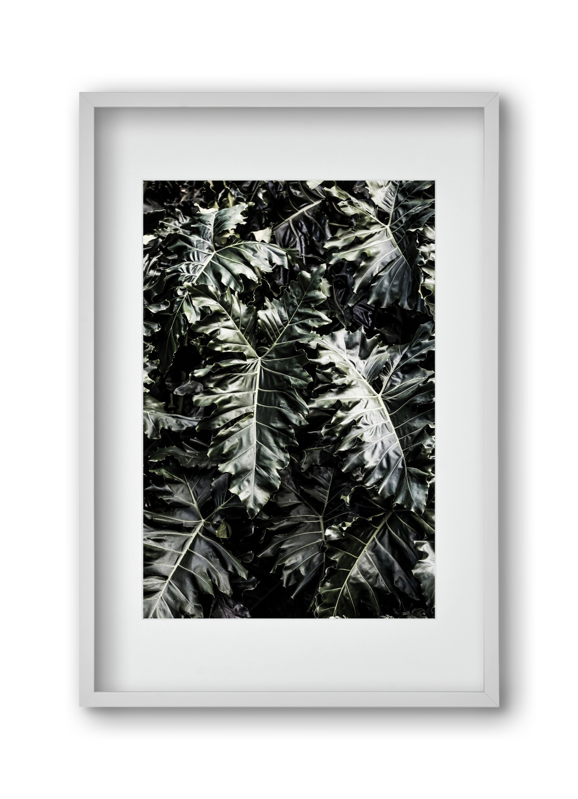 Monster, 30x45 cm (20x30 cm), Fehér keret, paszpartuval