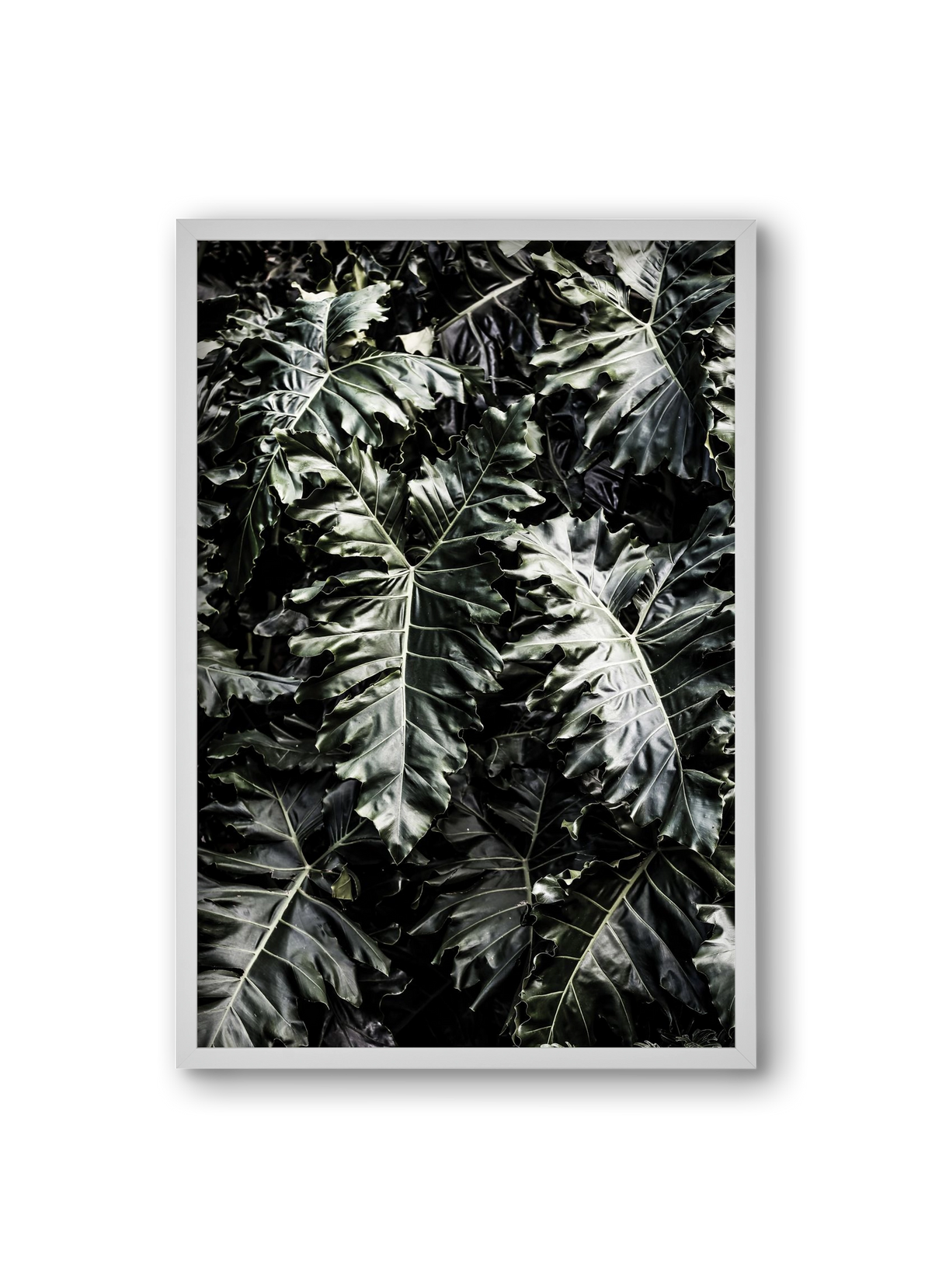 Monster, 20x30 cm (20x30 cm), Fehér keret