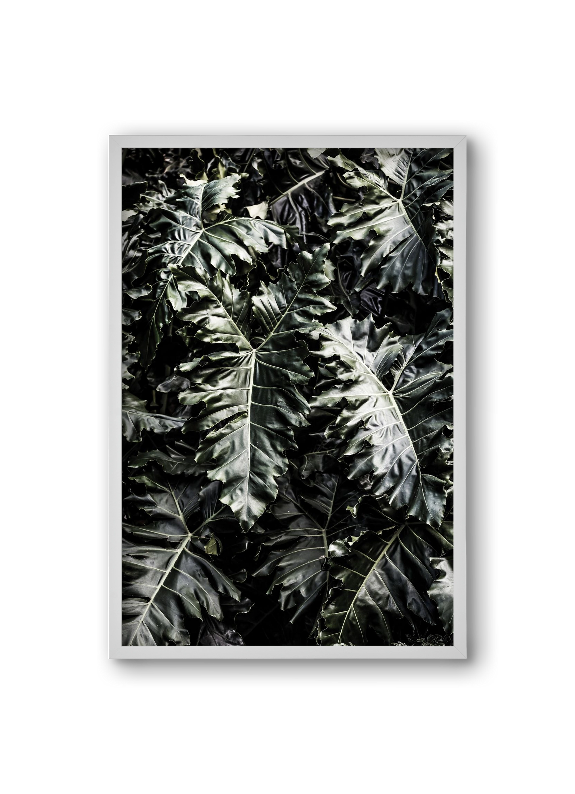 Monster, 20x30 cm (20x30 cm), Fehér keret