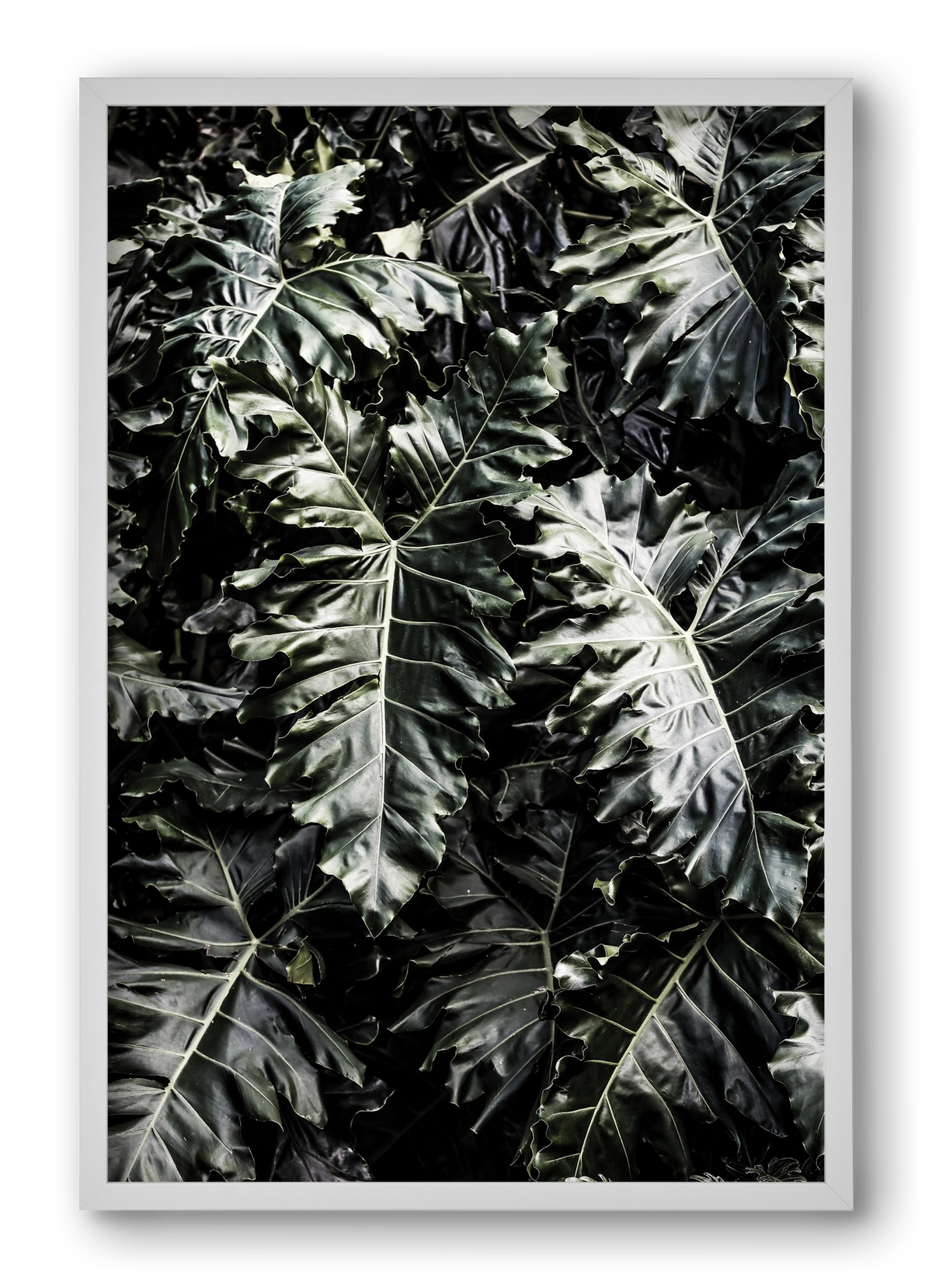 Monster, 40x60 cm (40x60 cm), Fehér keret