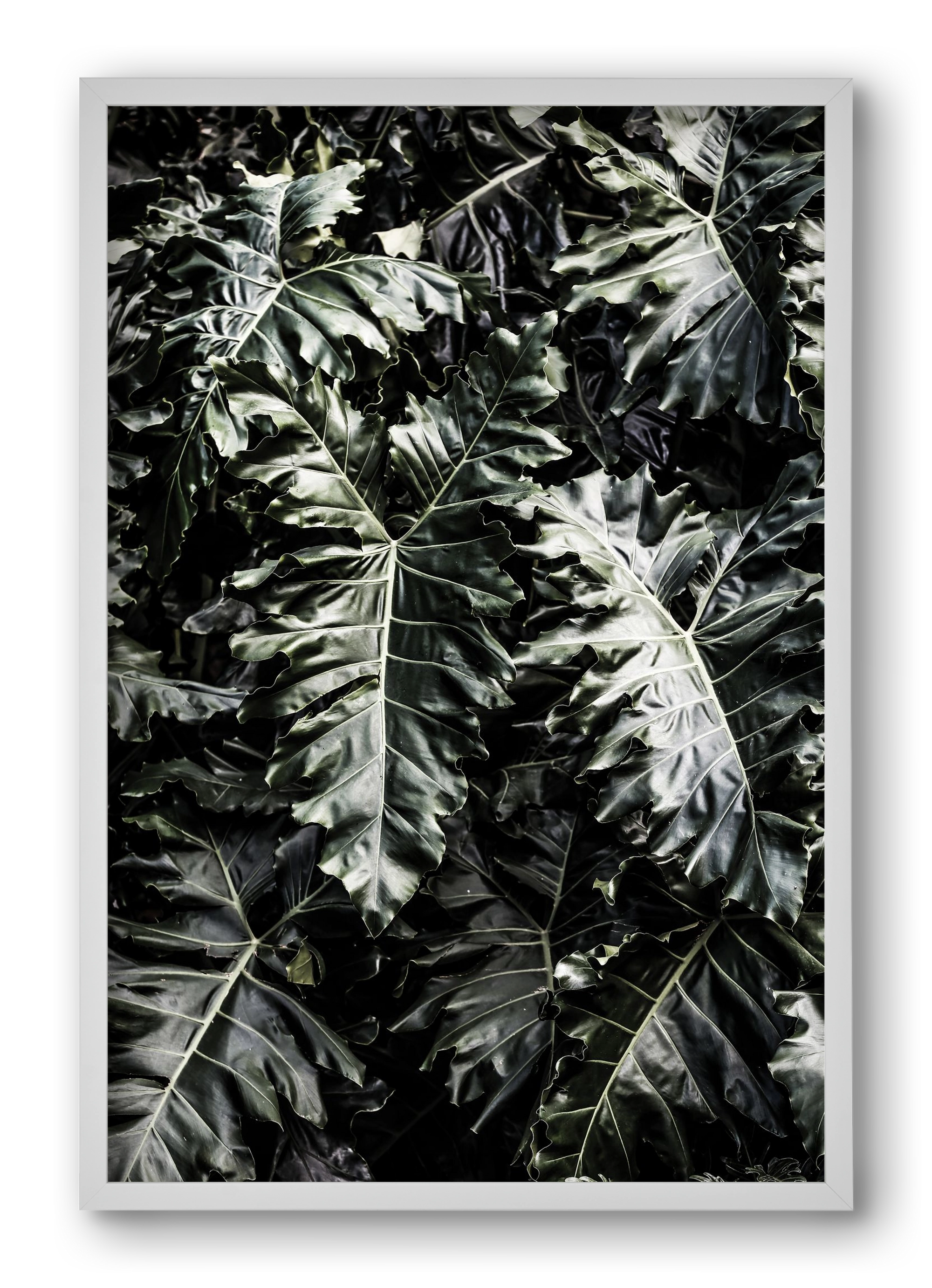 Monster, 40x60 cm (40x60 cm), Fehér keret