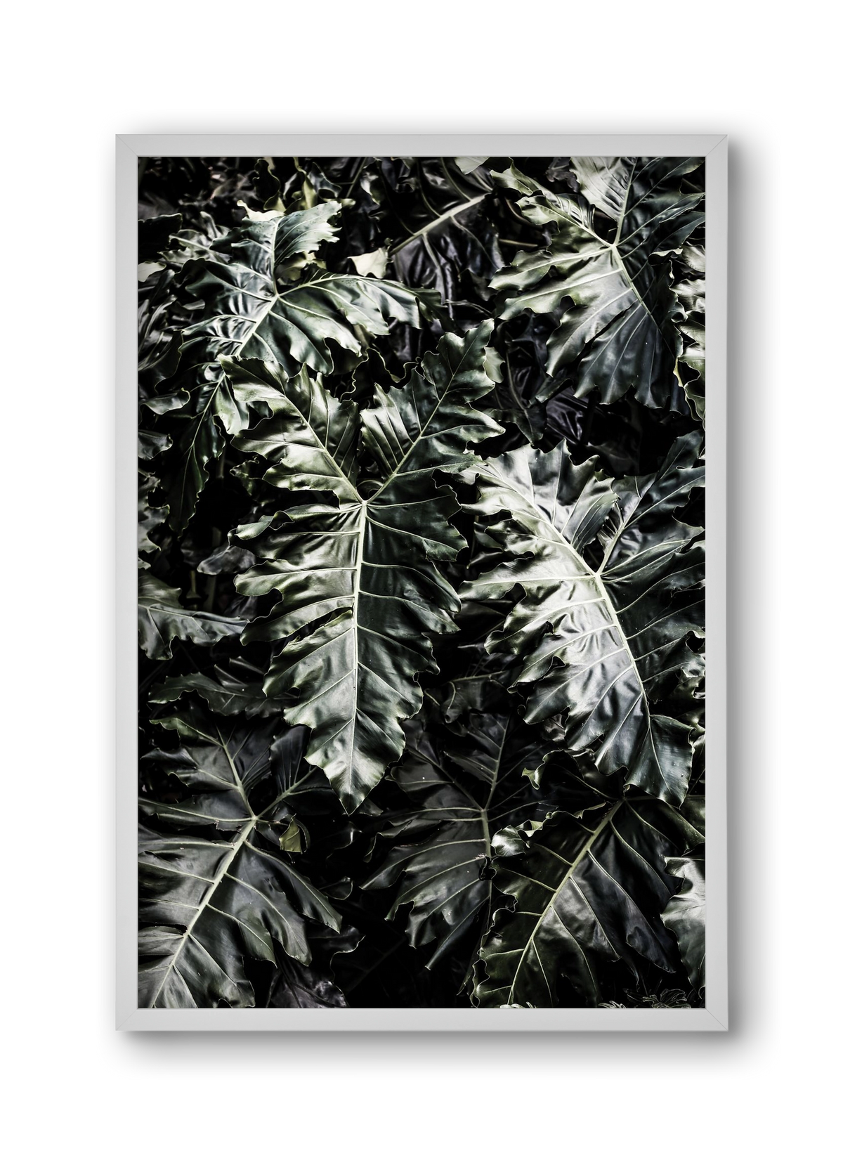 Monster, 30x45 cm (30x45 cm), Fehér keret