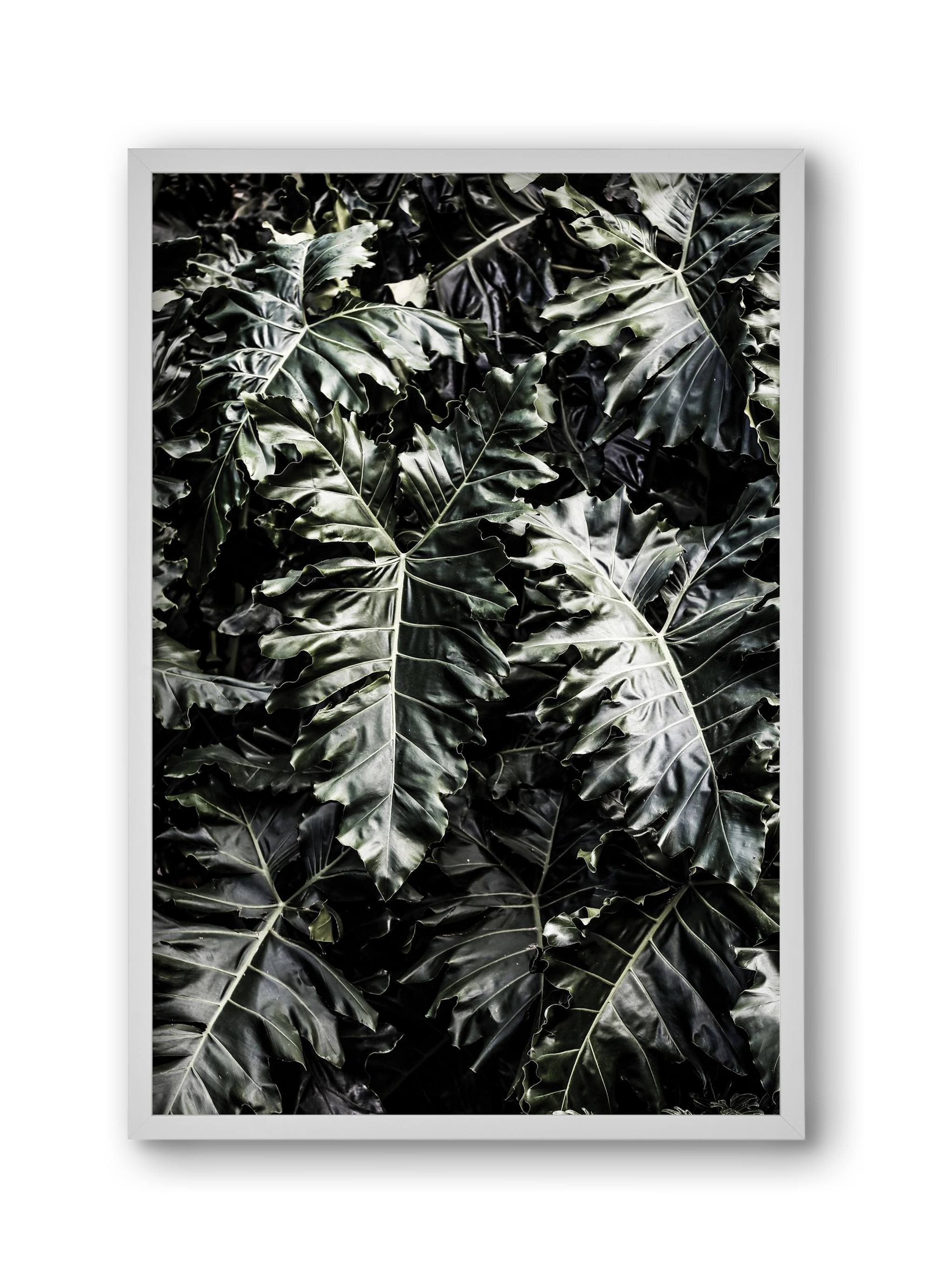 Monster, 30x45 cm (30x45 cm), Fehér keret