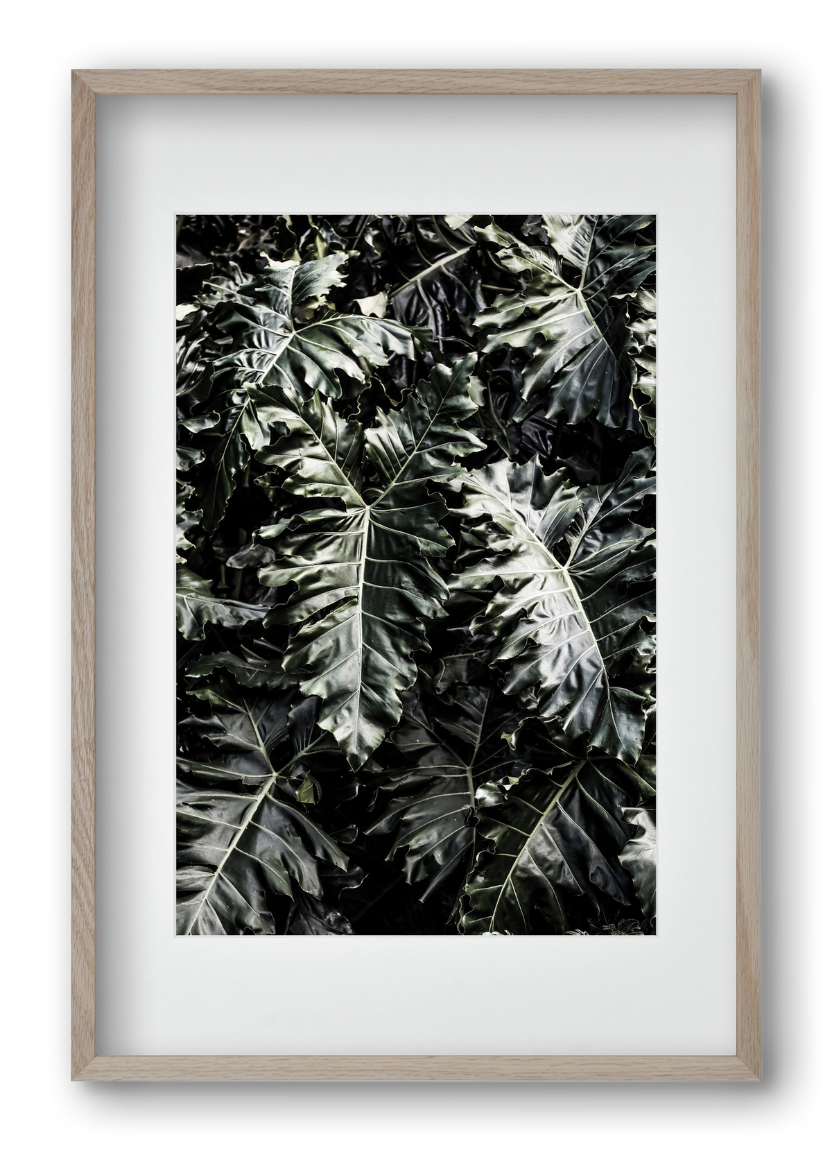 Monster, 40x60 cm (30x45 cm), Tölgy keret, paszpartuval