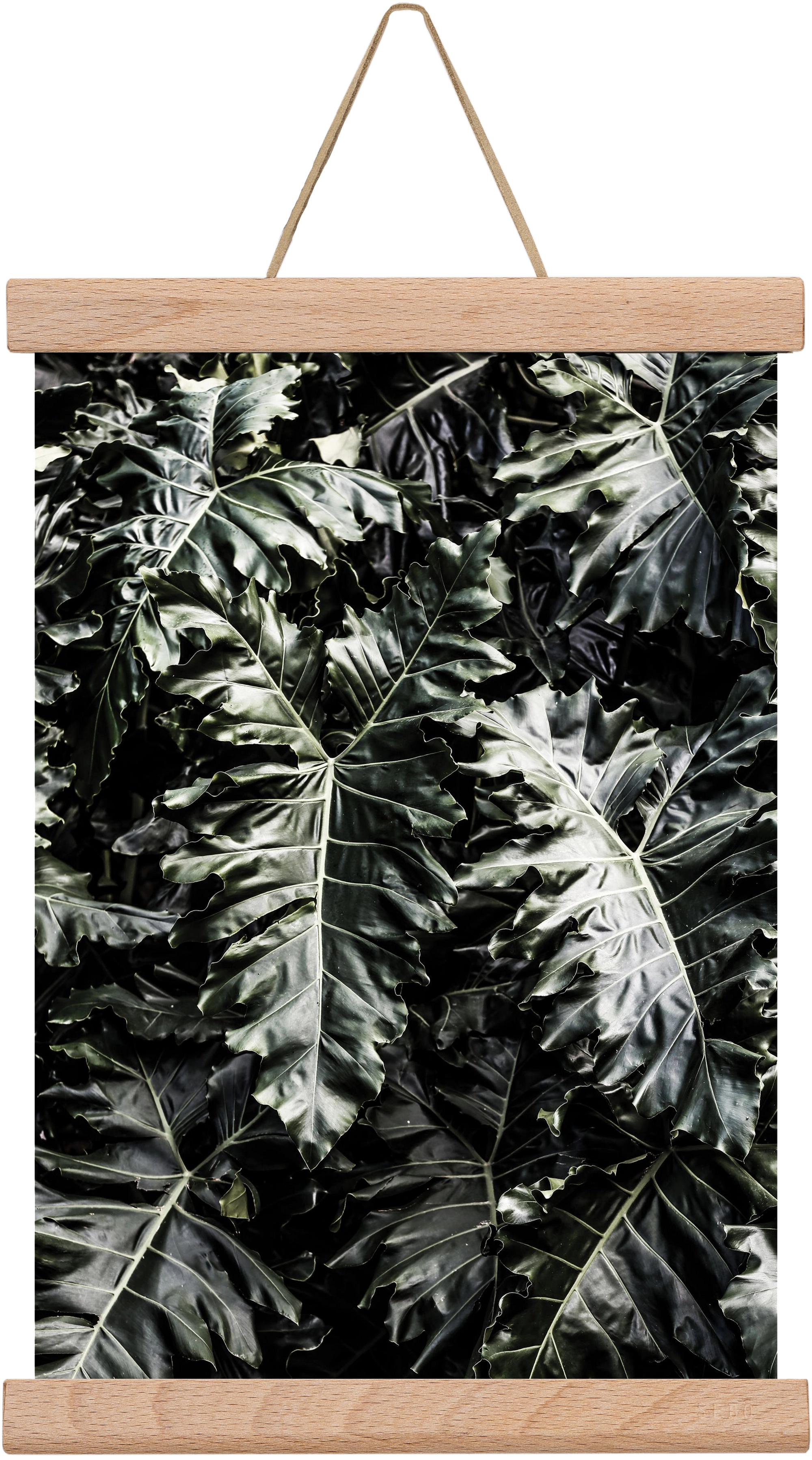 Monster, 20x30 cm (20x30 cm), Tölgy akasztó