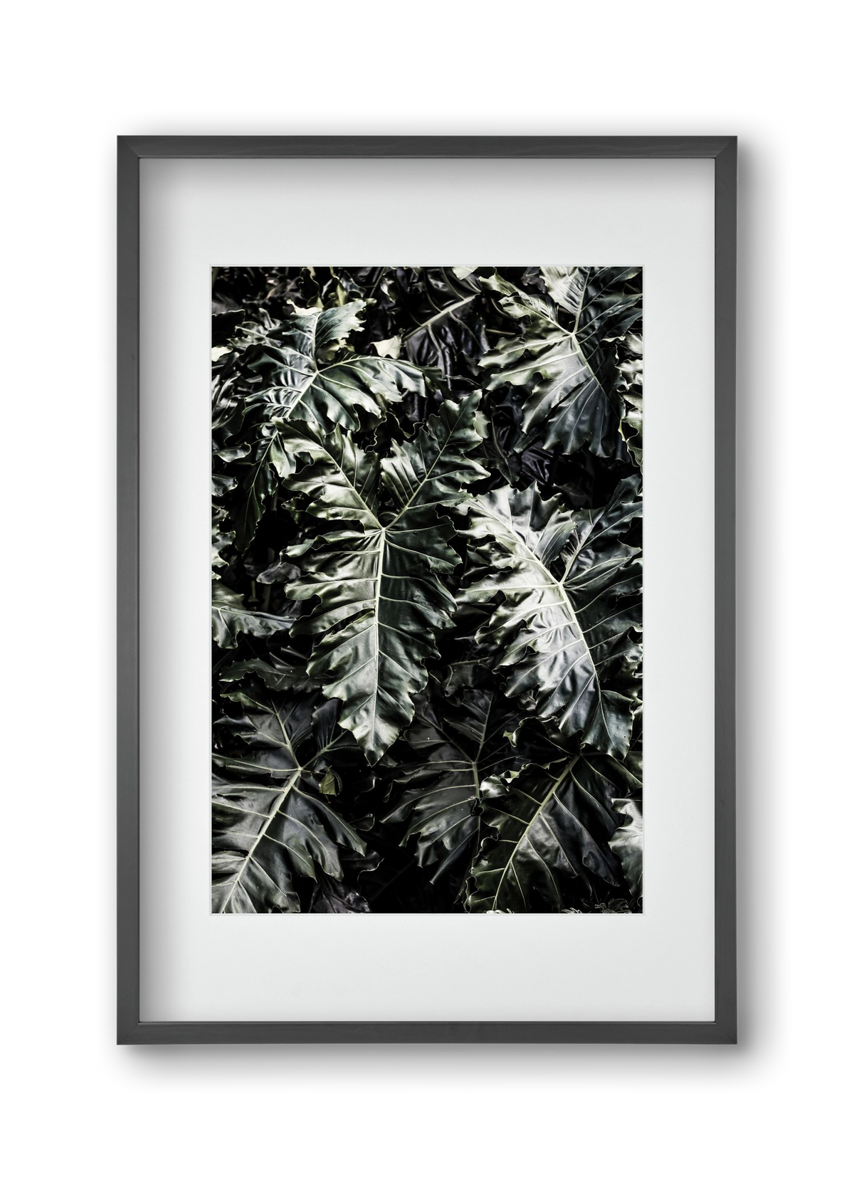 Monster, 30x45 cm (20x30 cm), Fekete keret, paszpartuval