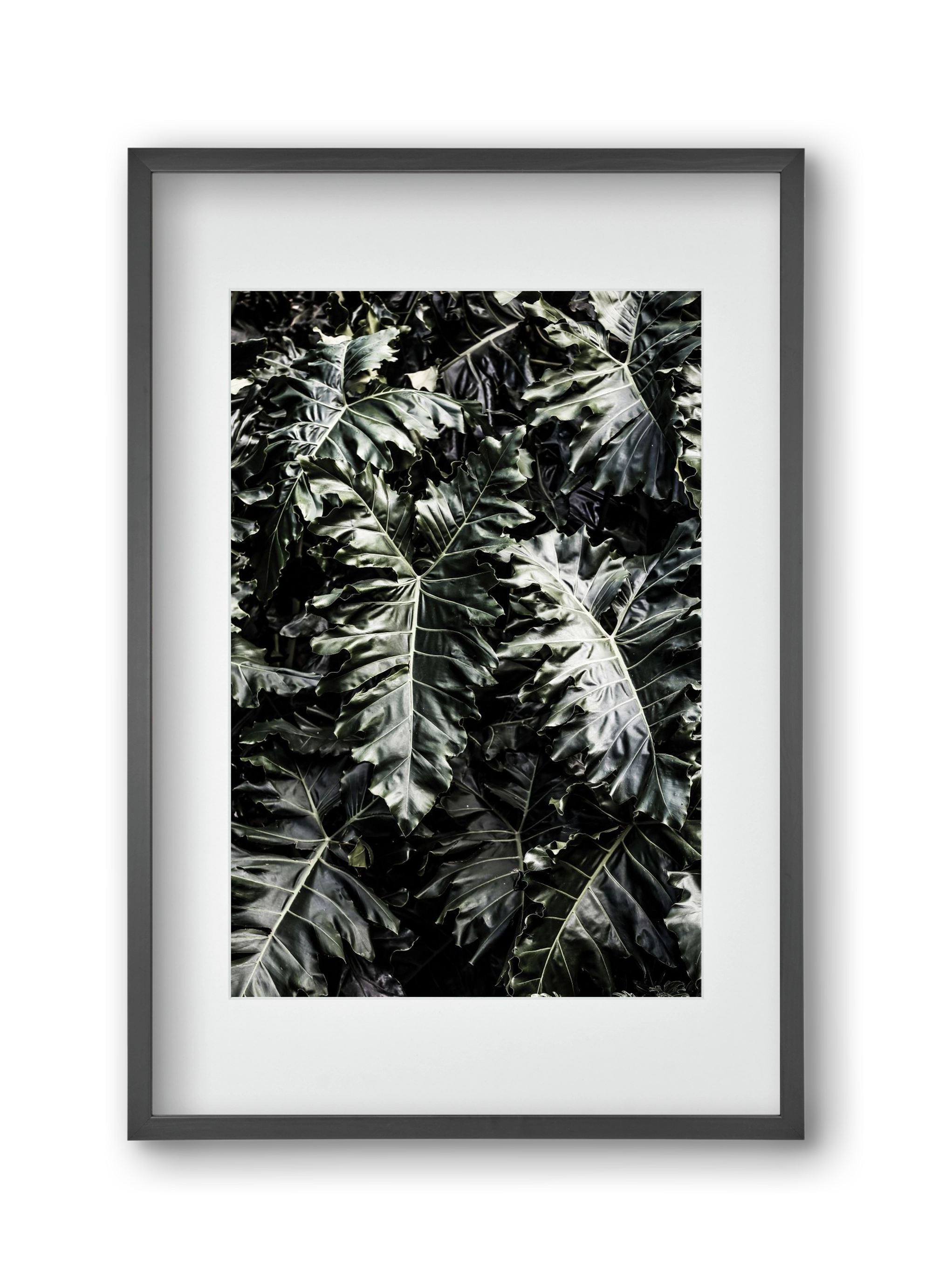 Monster, 30x45 cm (20x30 cm), Fekete keret, paszpartuval