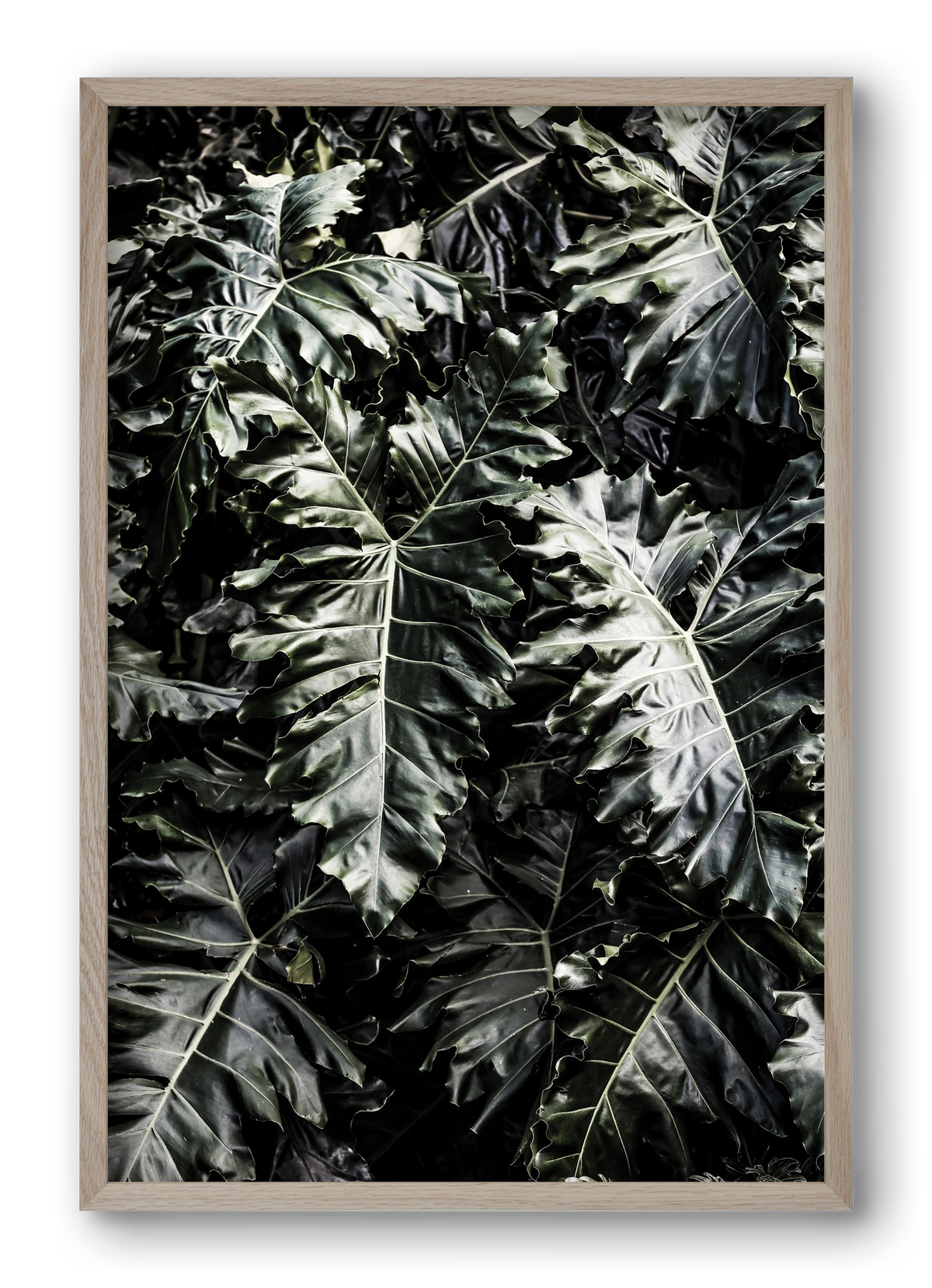 Monster, 40x60 cm (40x60 cm), Tölgy keret