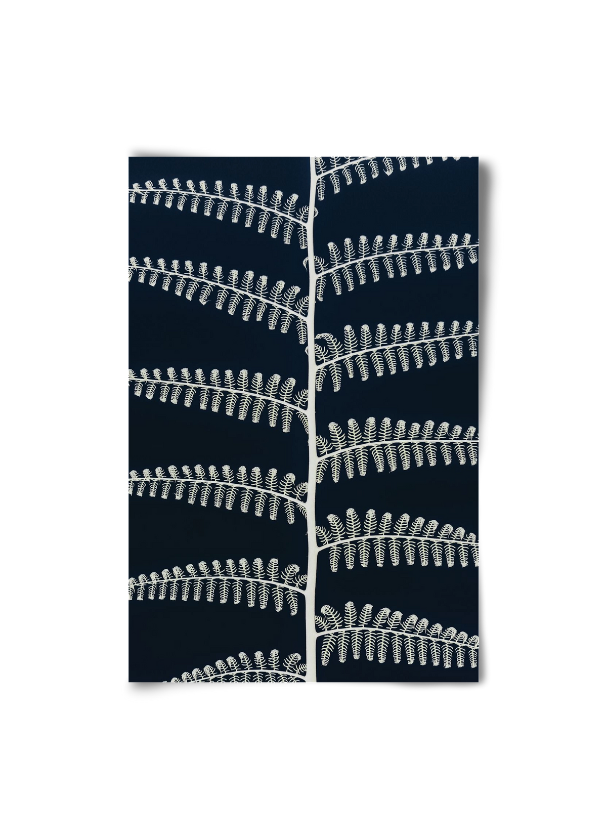 Fern, 20x30 cm, Keret nélkül