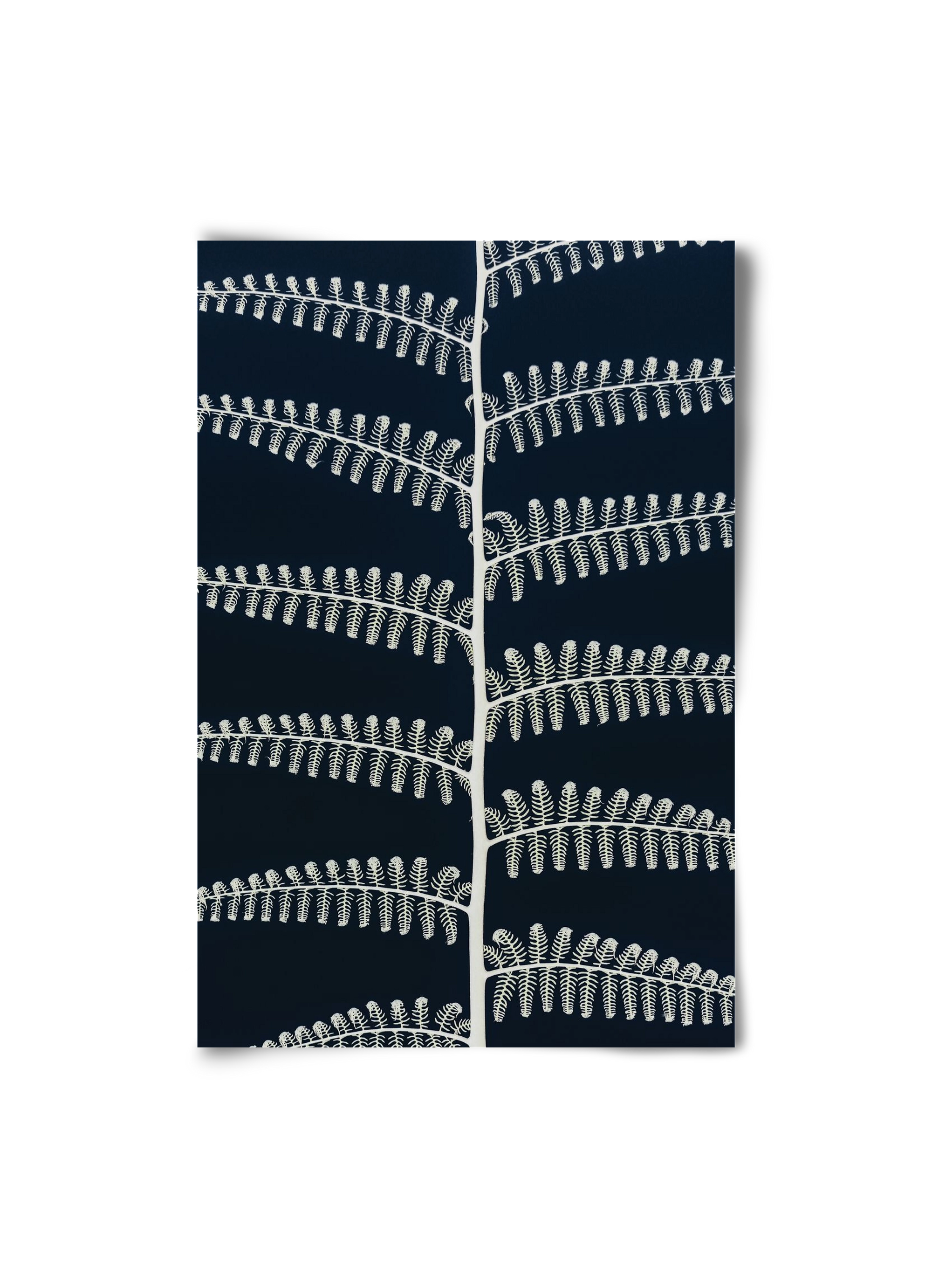 Fern, 20x30 cm, Keret nélkül