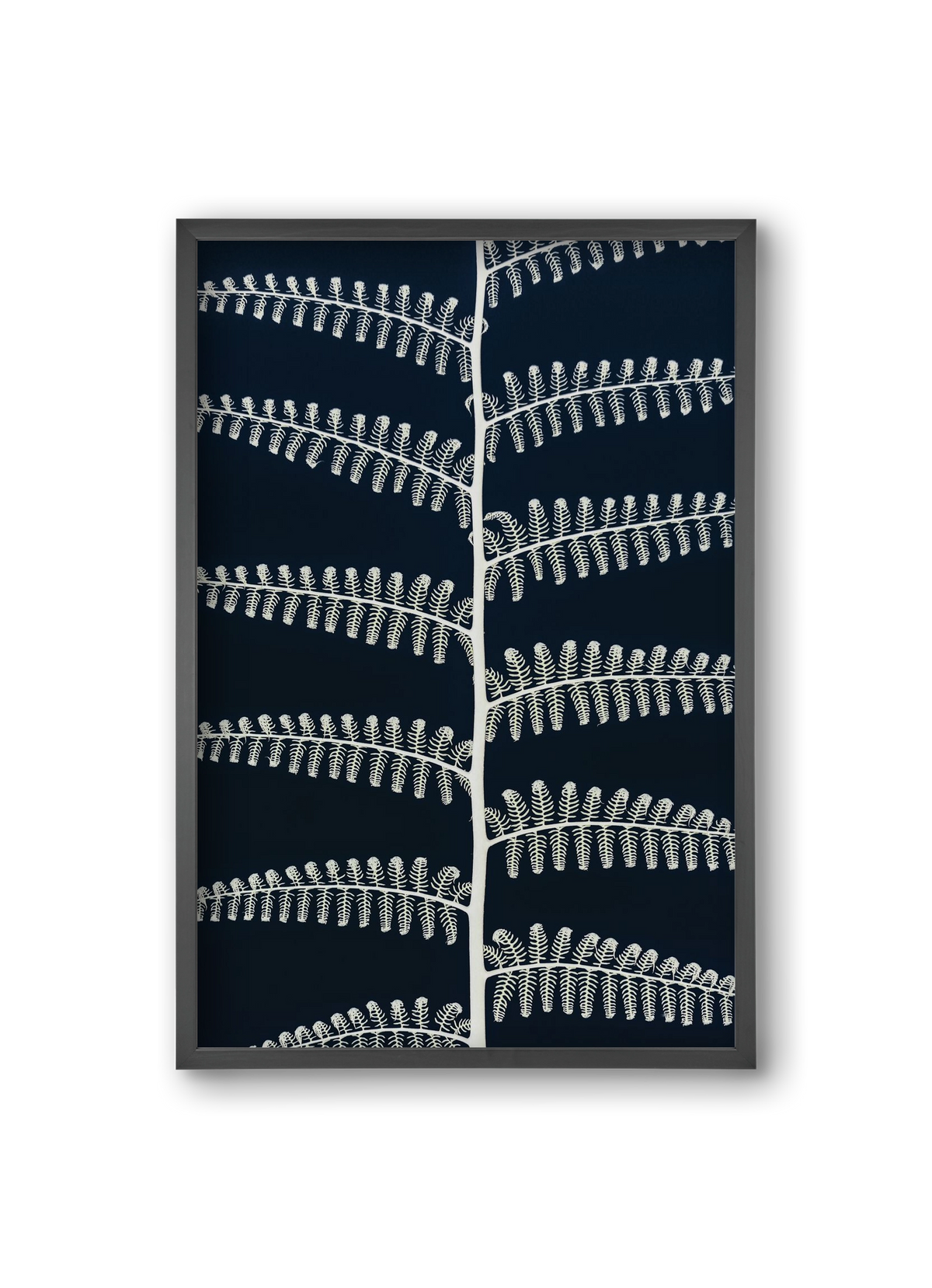 Fern, 20x30 cm (20x30 cm), Fekete keret