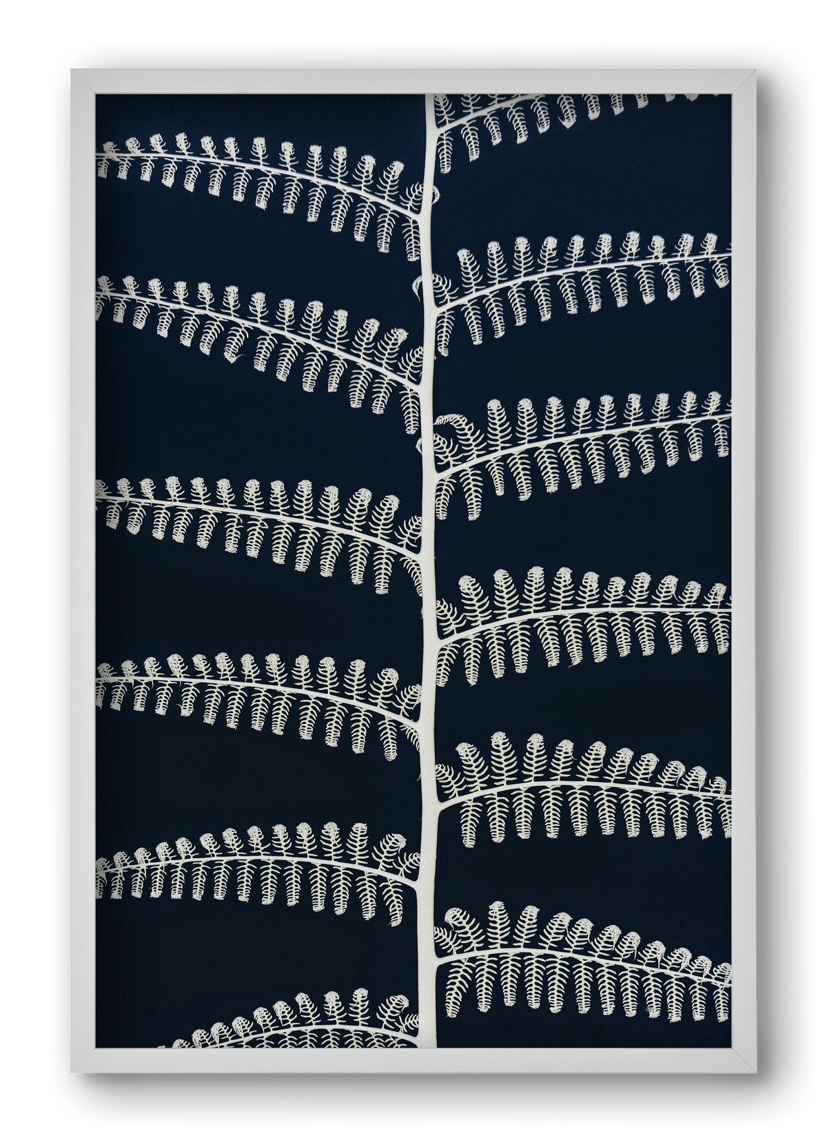 Fern, 40x60 cm (40x60 cm), Fehér keret