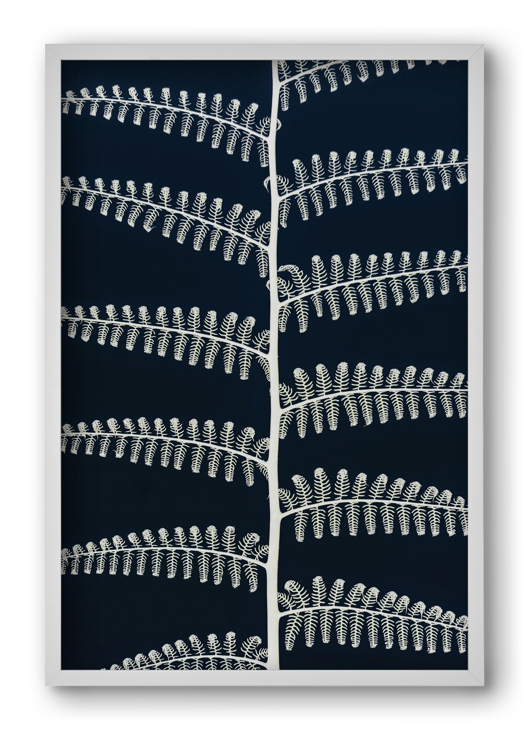 Fern, 40x60 cm (40x60 cm), Fehér keret
