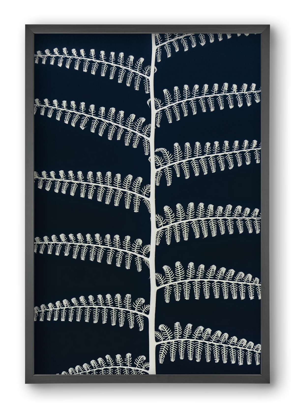 Fern, 40x60 cm (40x60 cm), Fekete keret