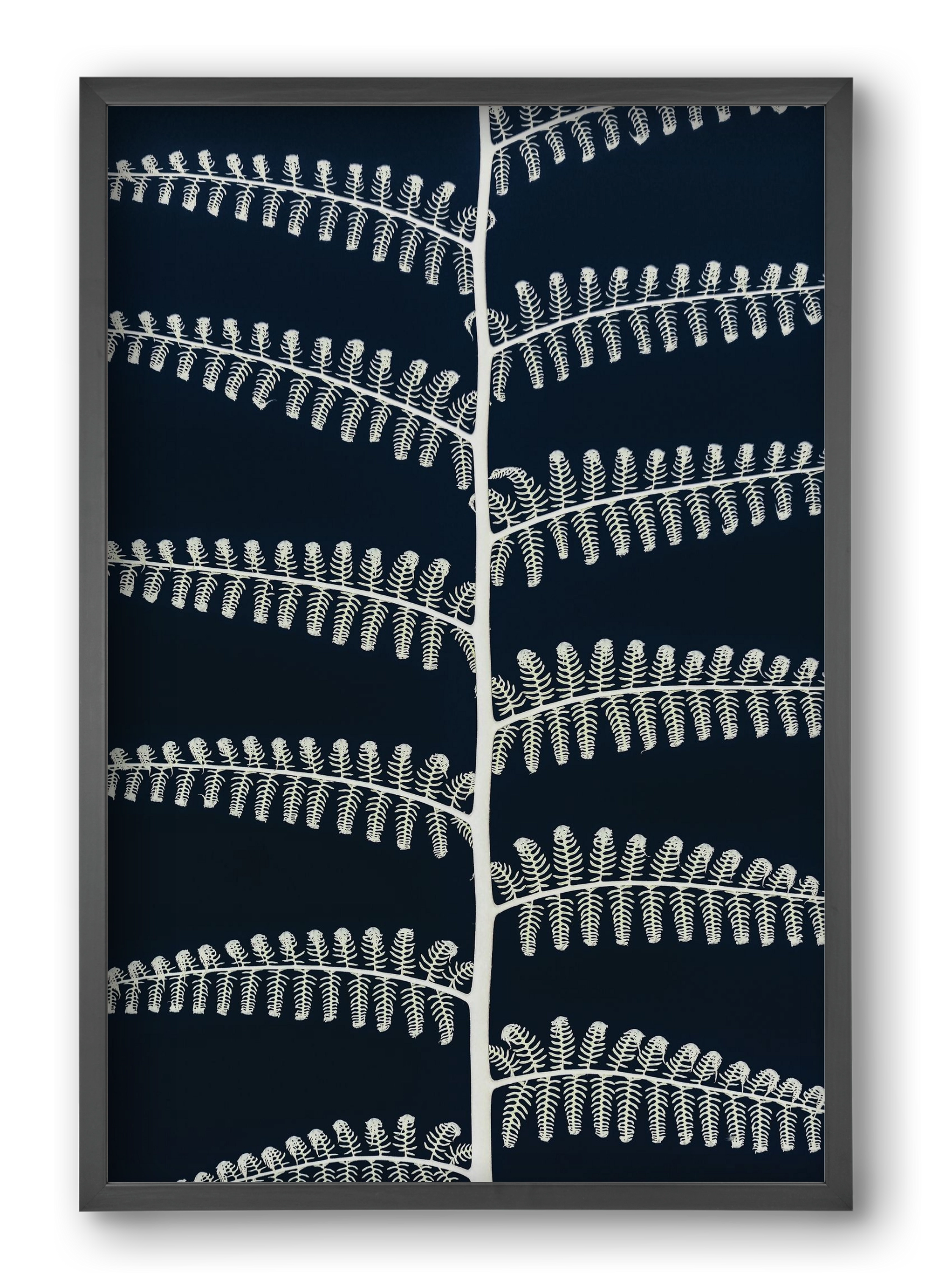 Fern, 40x60 cm (40x60 cm), Fekete keret