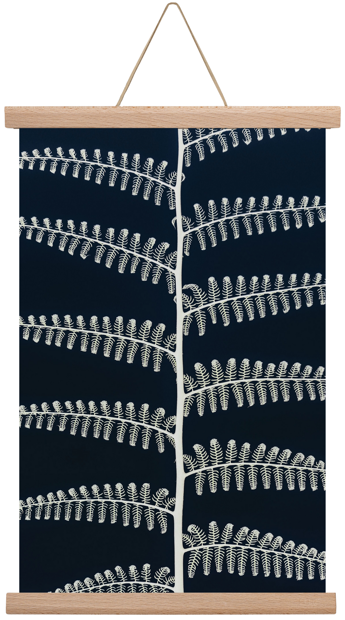 Fern, 30x45 cm (30x45 cm), Tölgy akasztó