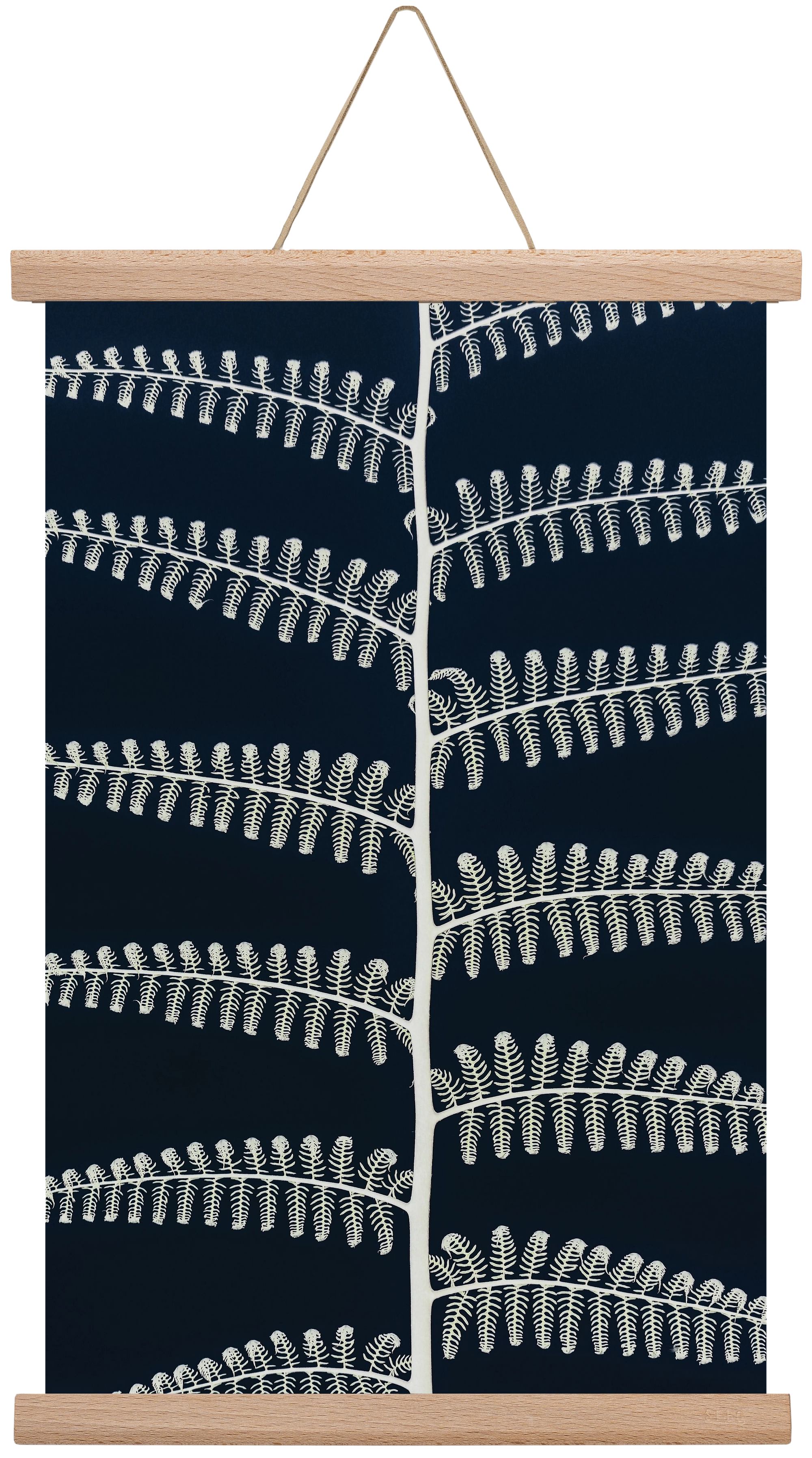 Fern, 30x45 cm (30x45 cm), Tölgy akasztó