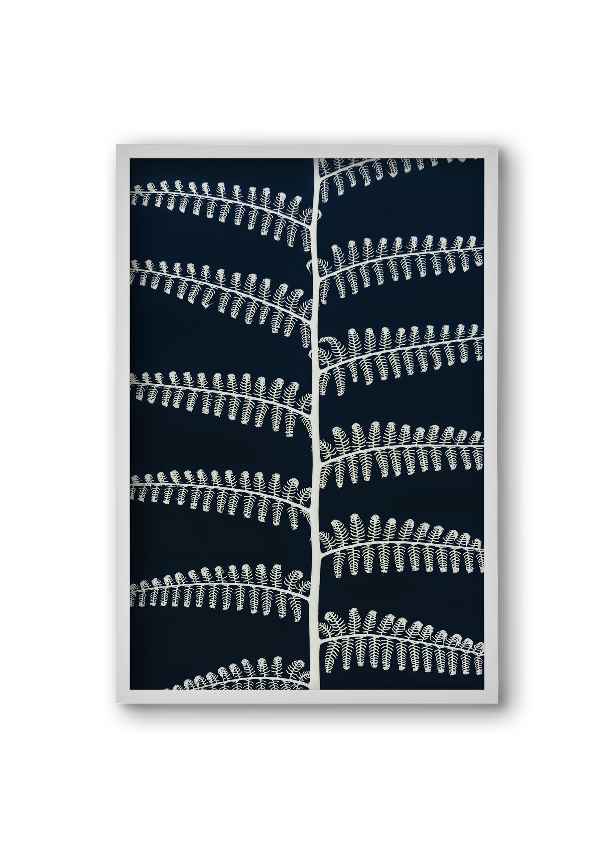 Fern, 20x30 cm (20x30 cm), Fehér keret