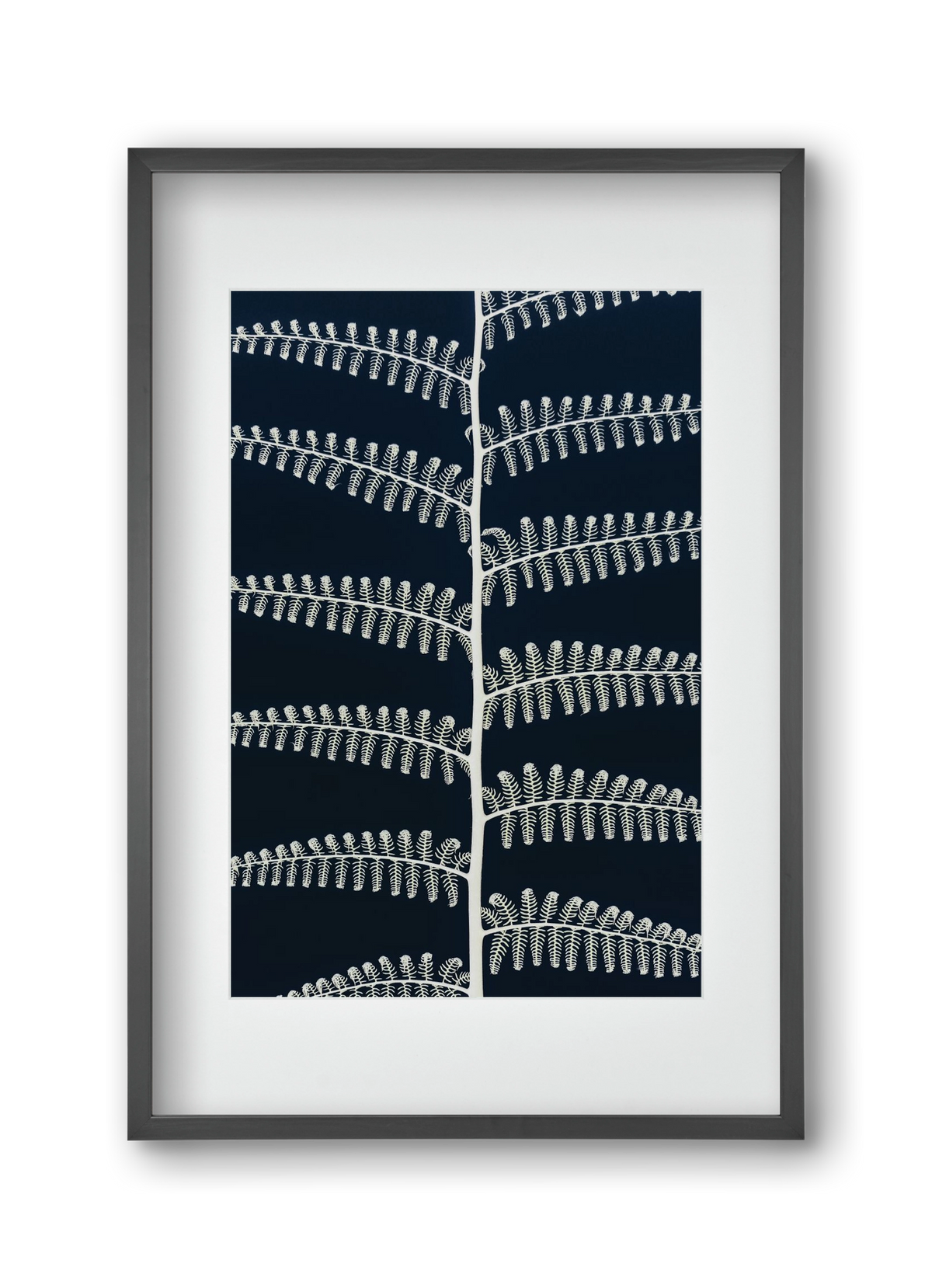 Fern, 30x45 cm (20x30 cm), Fekete keret, paszpartuval