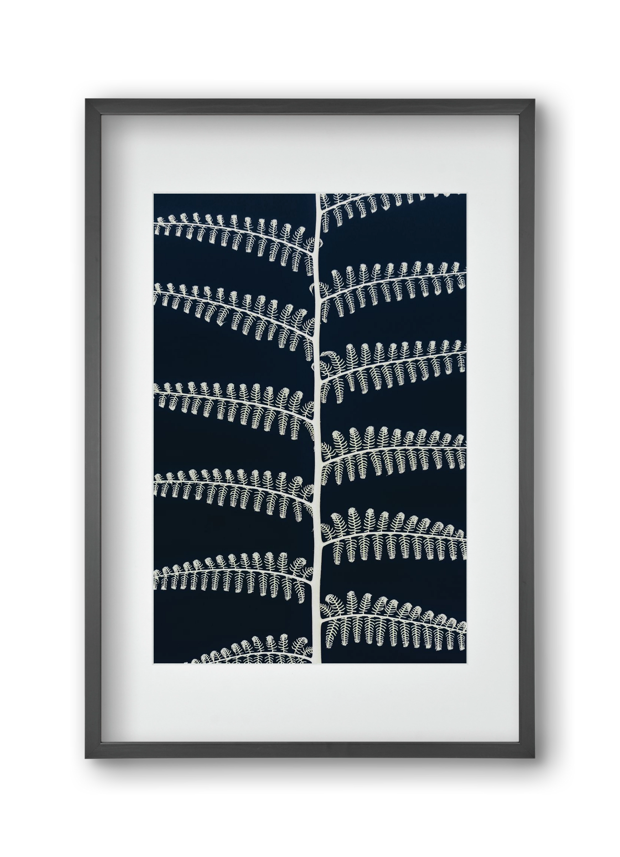 Fern, 30x45 cm (20x30 cm), Fekete keret, paszpartuval