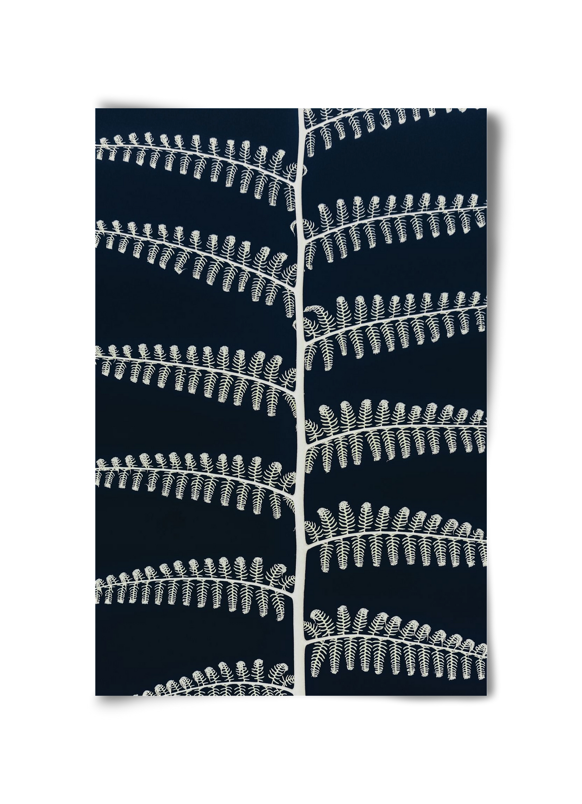 Fern, 30x45 cm, Keret nélkül